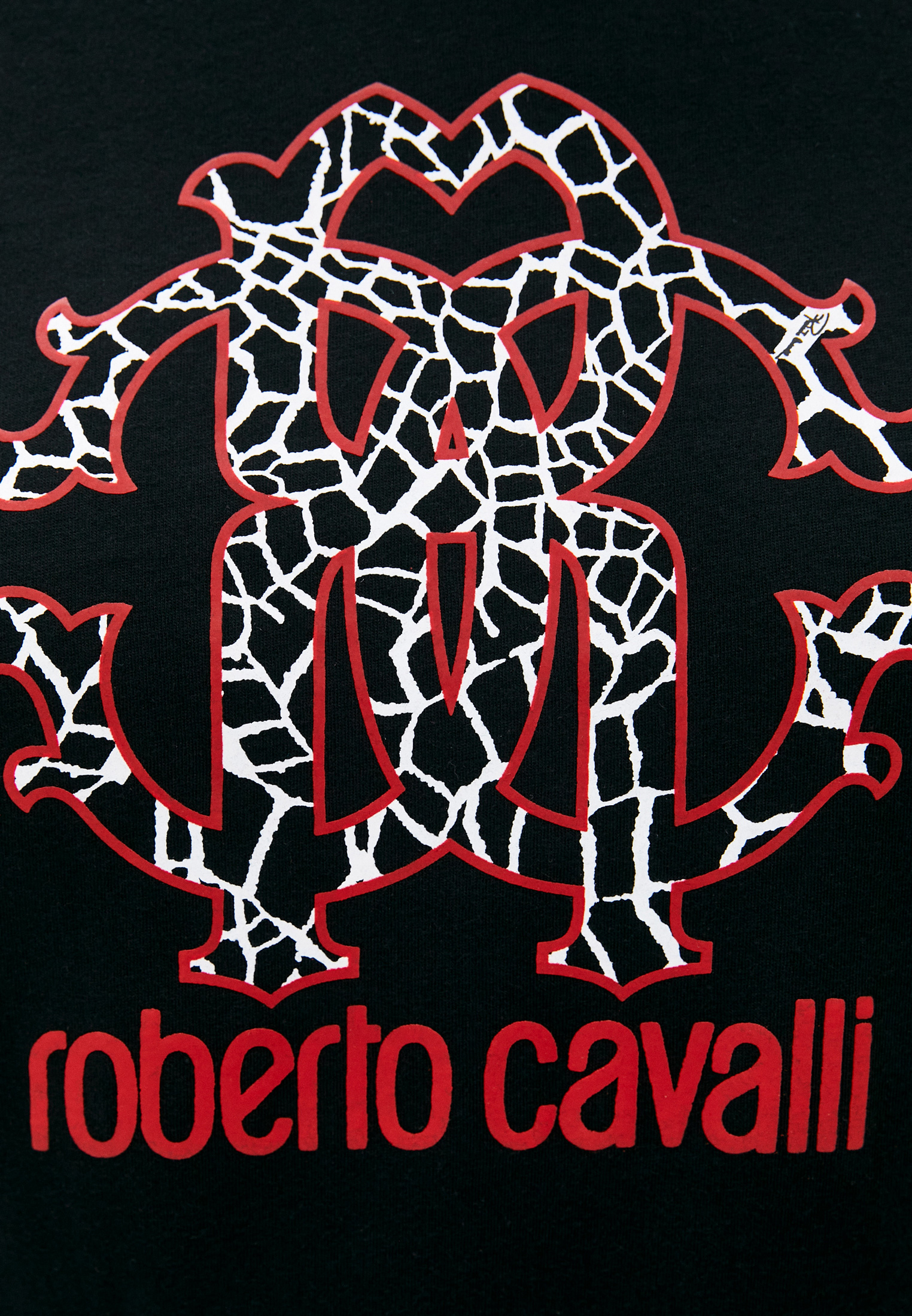 Мужская футболка Roberto Cavalli (Роберто Кавалли) HSH00T: изображение 5
