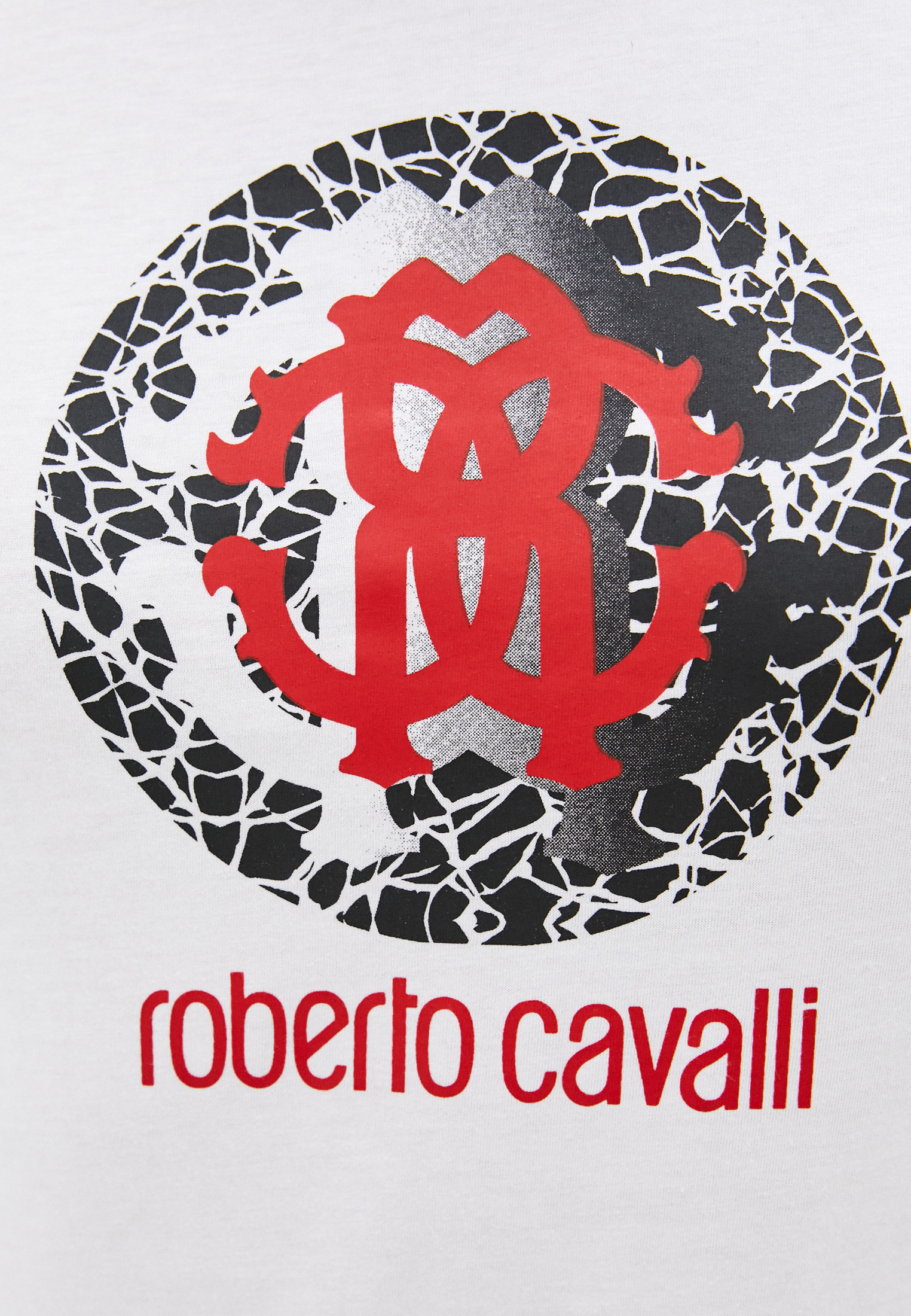 Мужская футболка Roberto Cavalli (Роберто Кавалли) HSH01T: изображение 5