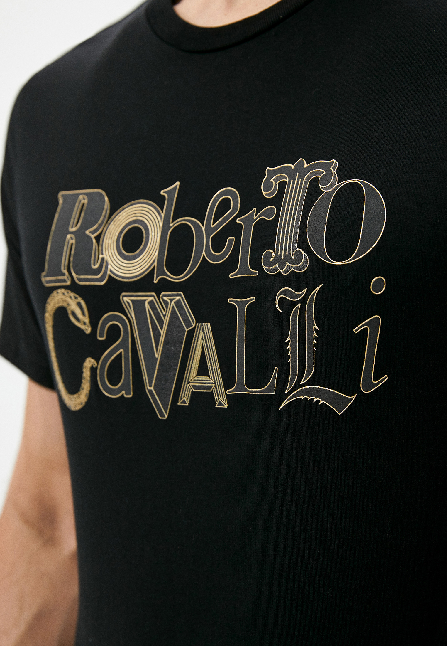 Мужская футболка Roberto Cavalli (Роберто Кавалли) LNT604: изображение 5
