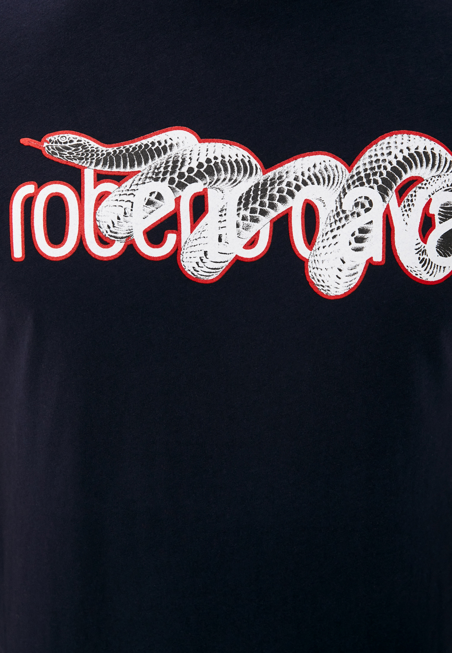 Мужская футболка Roberto Cavalli (Роберто Кавалли) GST655A0270: изображение 10