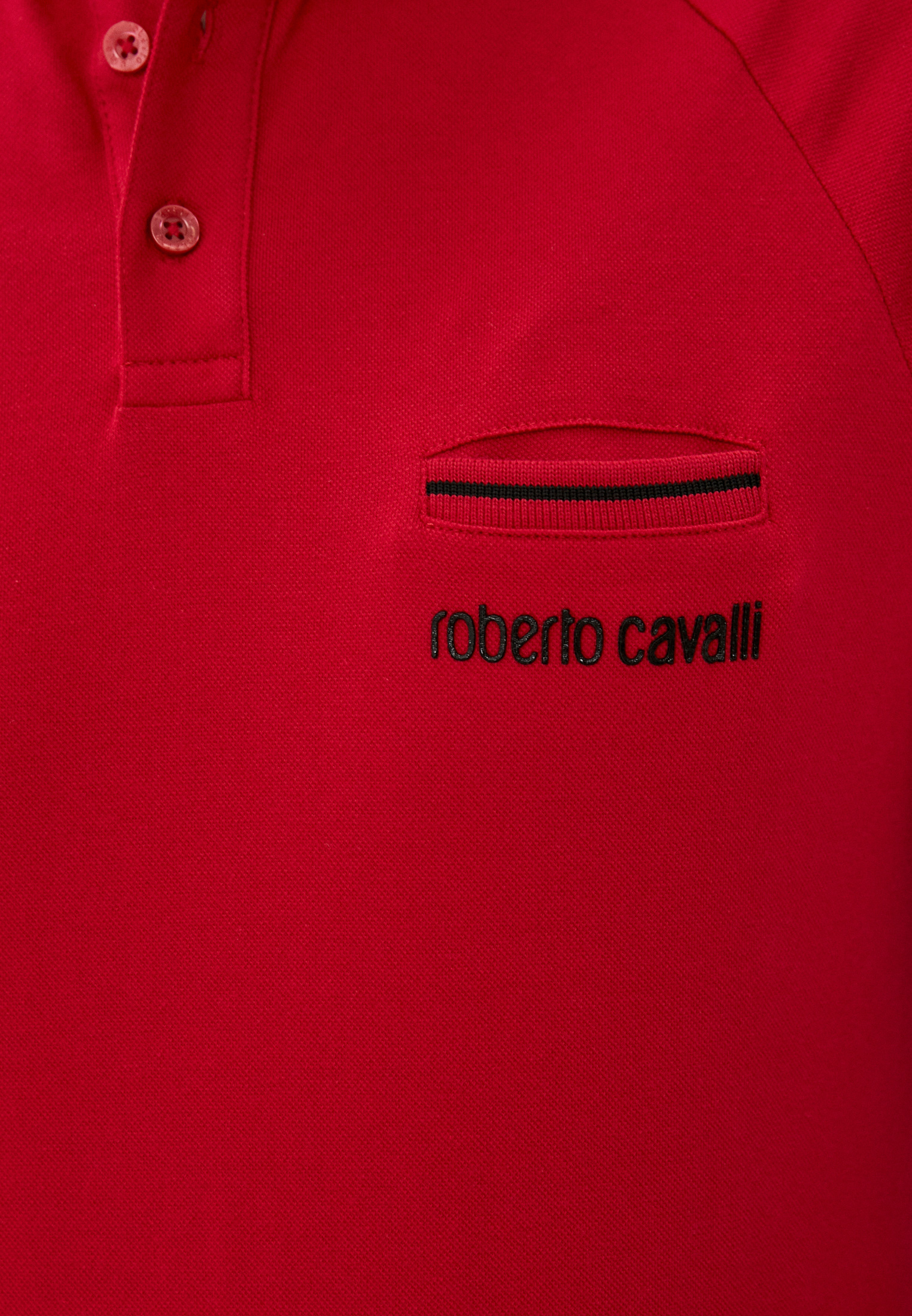 Мужские поло Roberto Cavalli (Роберто Кавалли) GST681A5160: изображение 5