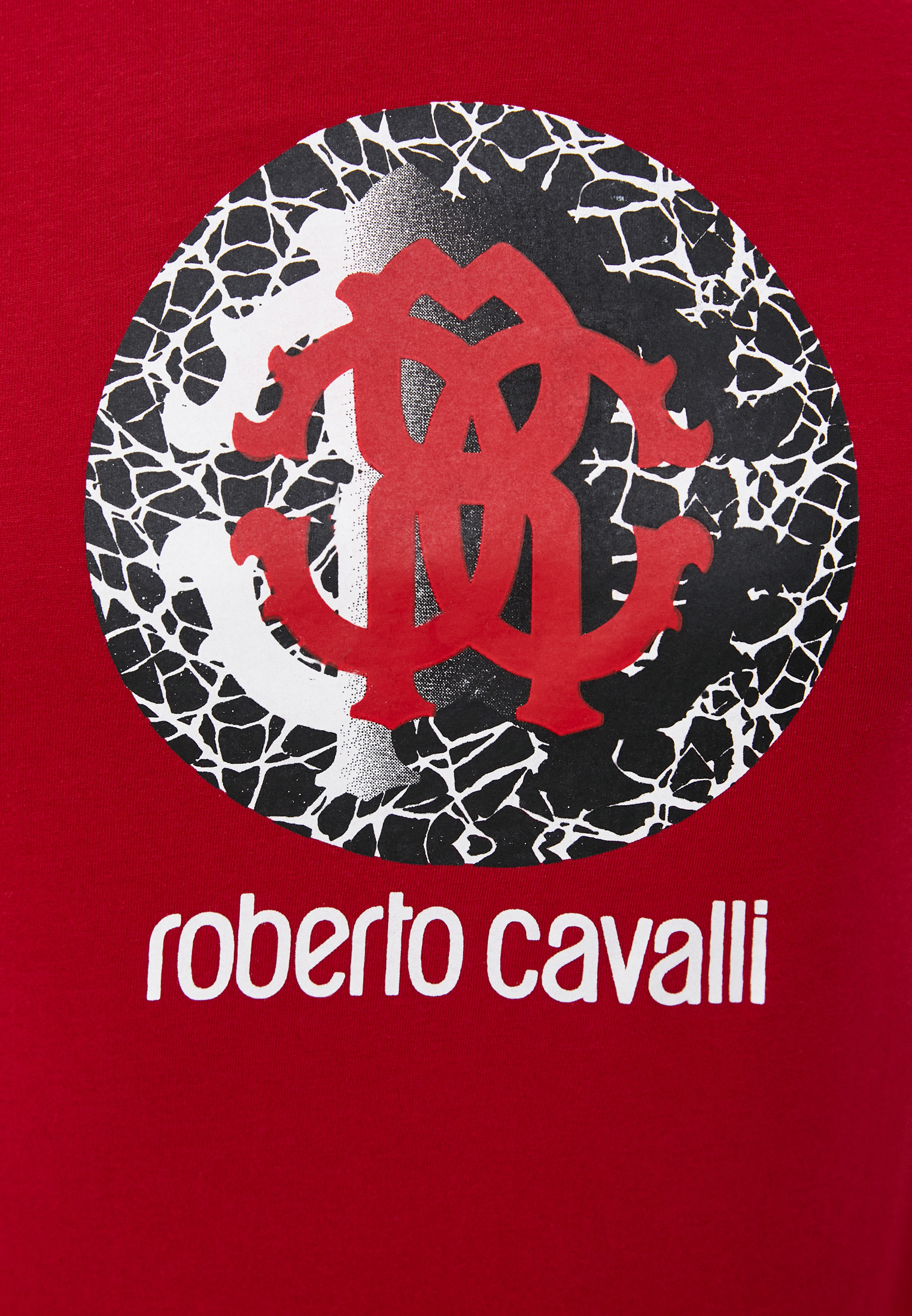 Мужская футболка Roberto Cavalli (Роберто Кавалли) HSH01T0: изображение 5