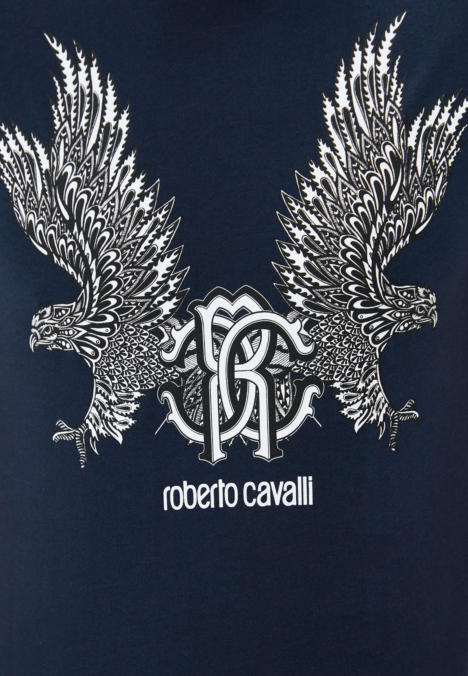 Мужская футболка Roberto Cavalli (Роберто Кавалли) HST60FA0270: изображение 10