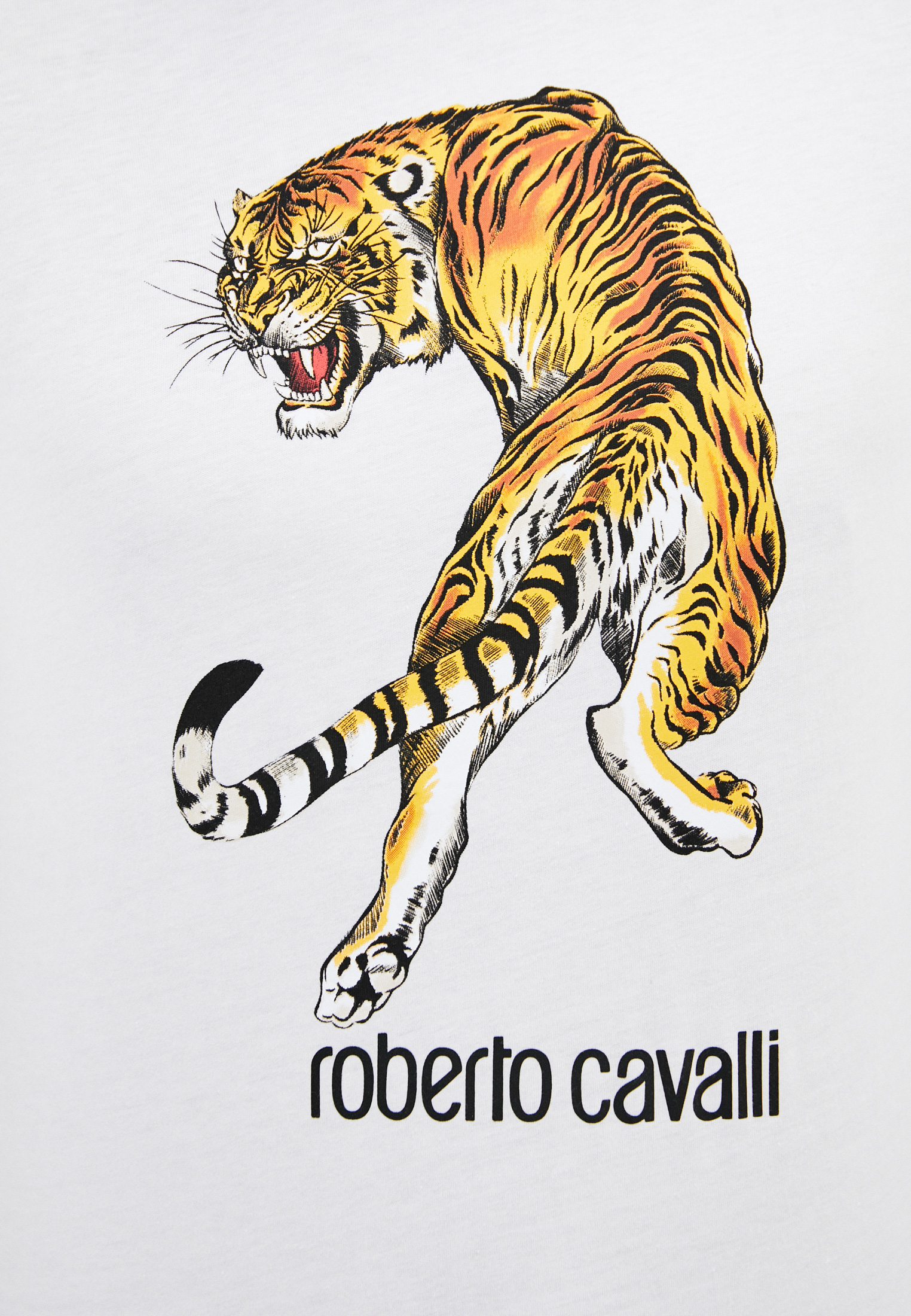 Мужская футболка Roberto Cavalli (Роберто Кавалли) HST61DA0270: изображение 5
