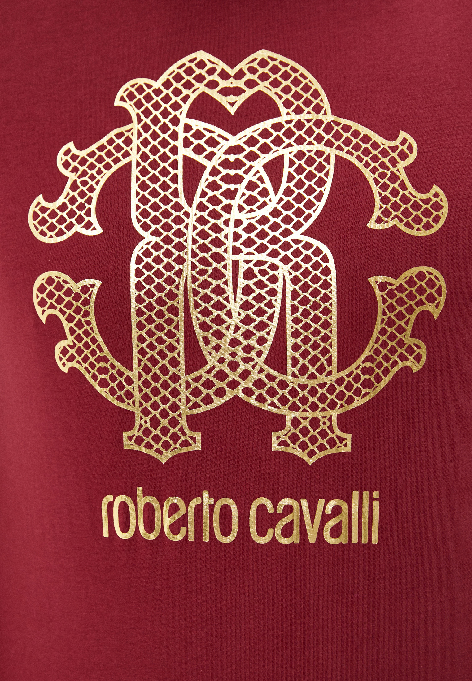 Мужская футболка Roberto Cavalli (Роберто Кавалли) HST62EA0270: изображение 5