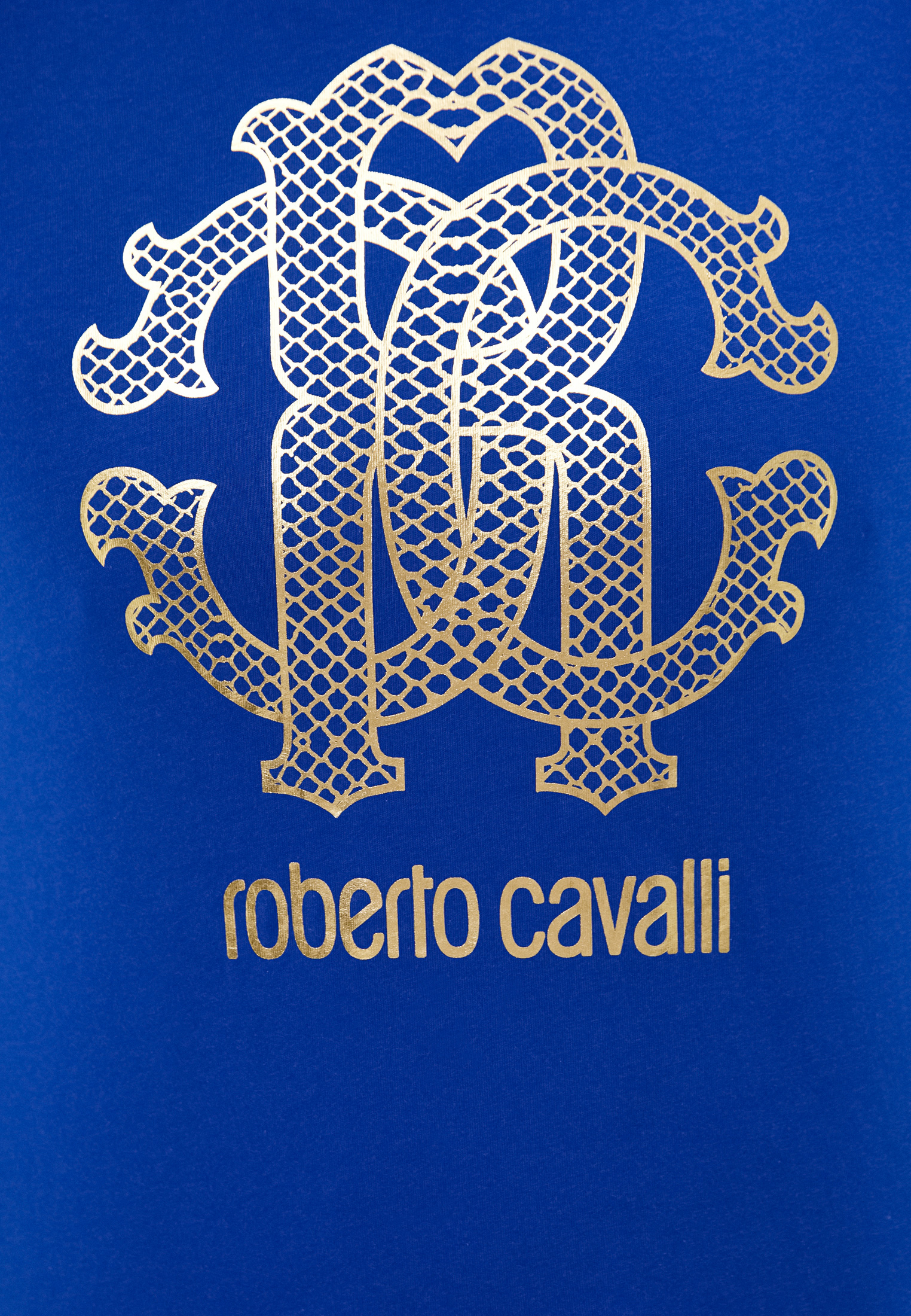 Мужская футболка Roberto Cavalli (Роберто Кавалли) HST62EA0270: изображение 5