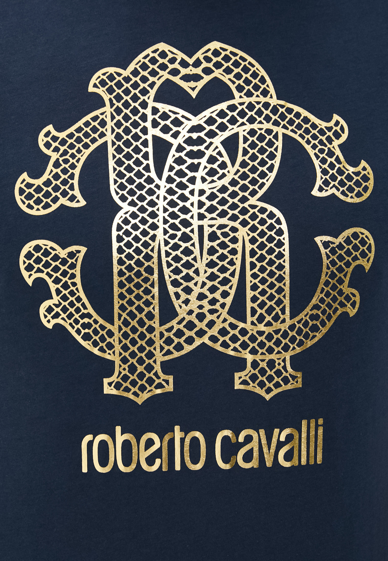 Мужская футболка Roberto Cavalli (Роберто Кавалли) HST62EA0270: изображение 10
