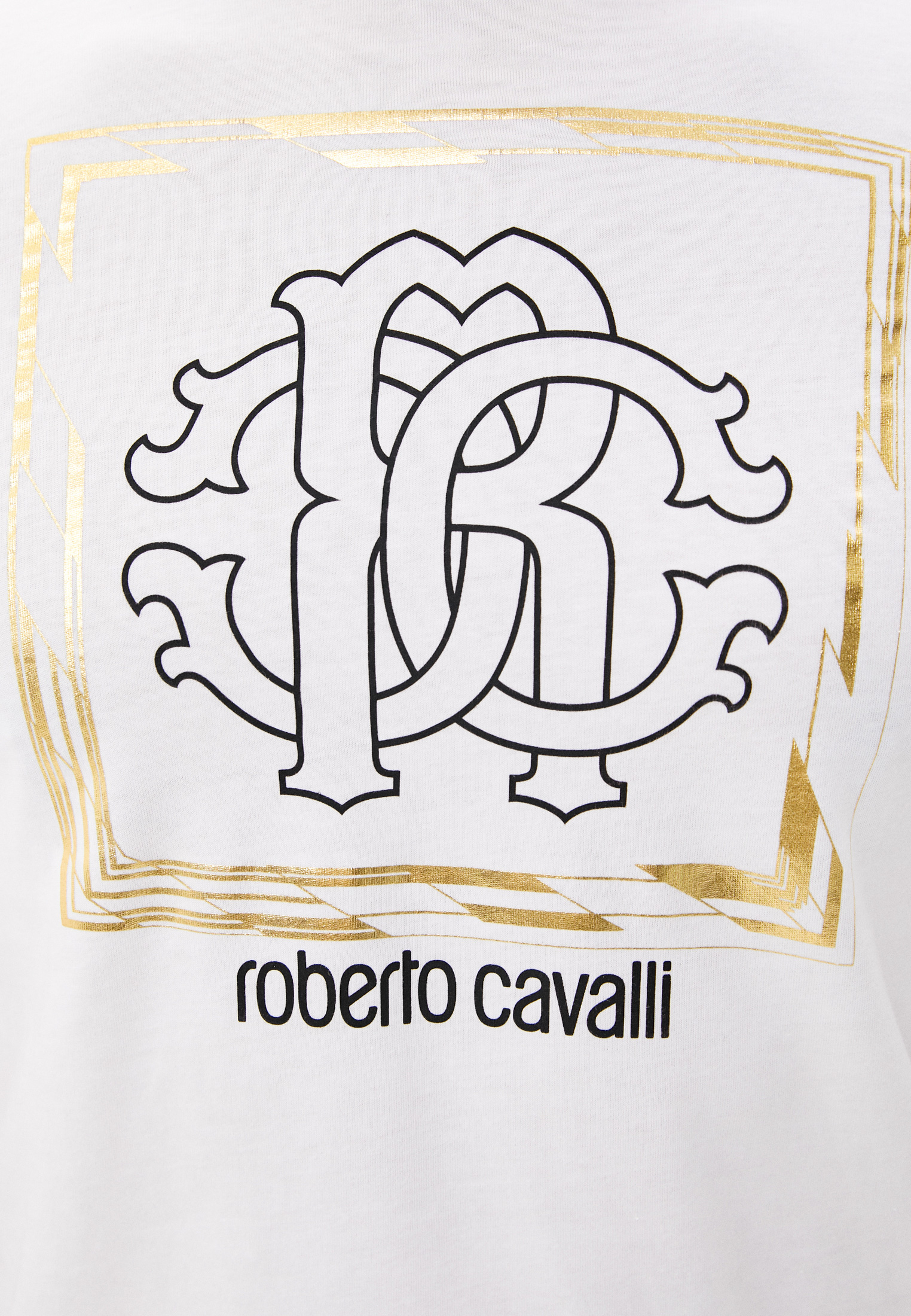 Мужская футболка Roberto Cavalli (Роберто Кавалли) HST63EA0270: изображение 5