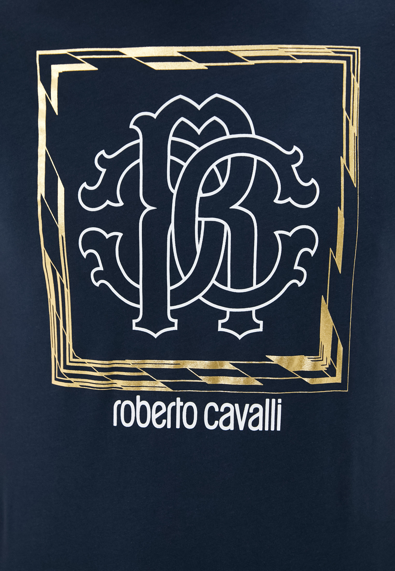 Мужская футболка Roberto Cavalli (Роберто Кавалли) HST63EA0270: изображение 10