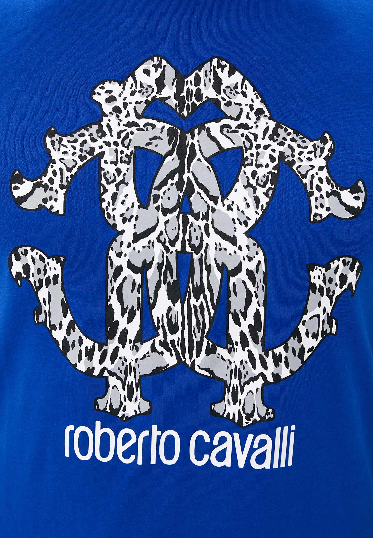 Мужская футболка Roberto Cavalli (Роберто Кавалли) HST66EA0270: изображение 5