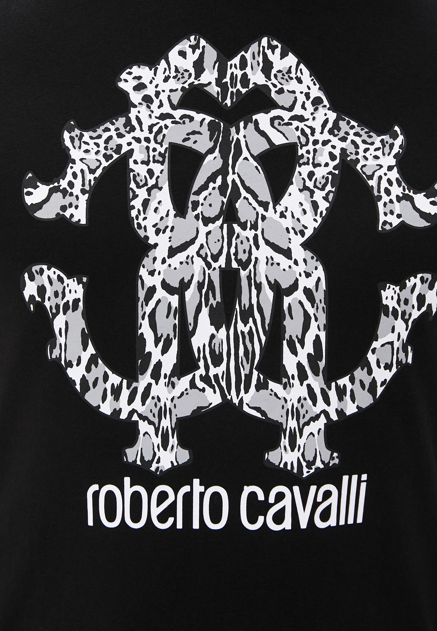 Мужская футболка Roberto Cavalli (Роберто Кавалли) HST66EA0270: изображение 5