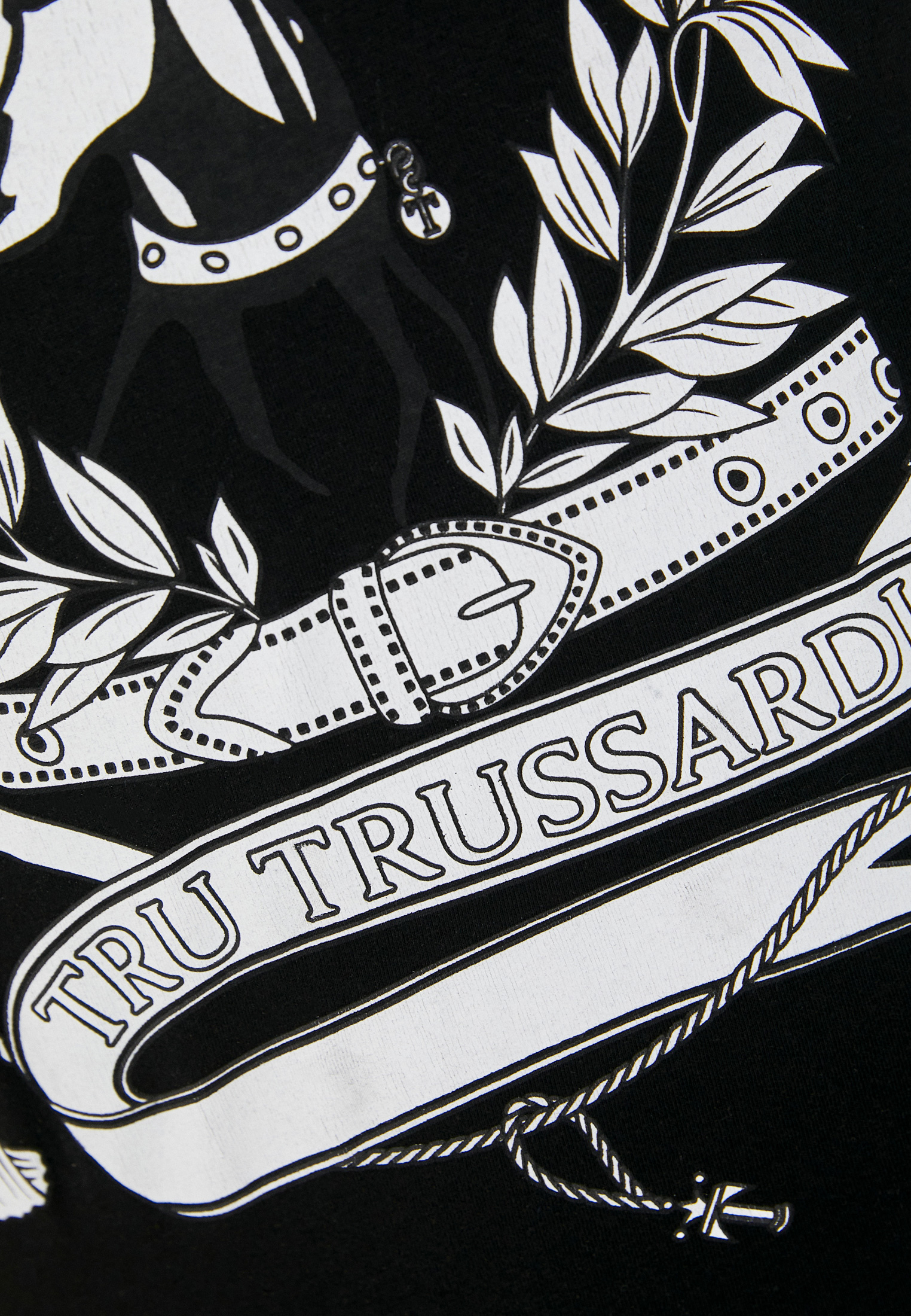 Мужская футболка Tru Trussardi (Тру Труссарди) 32T001641T004448: изображение 5