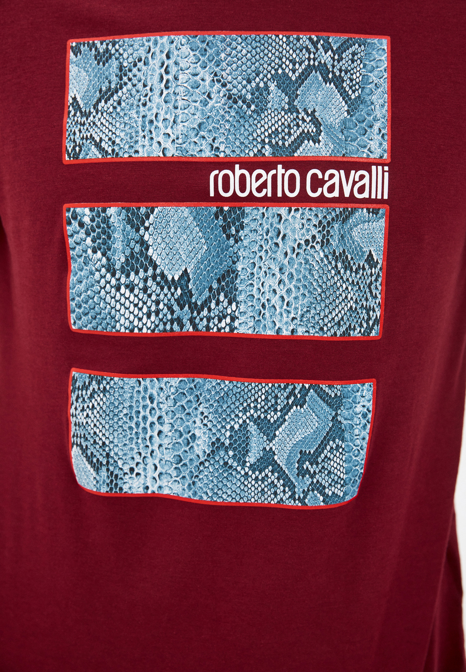 Мужская футболка Roberto Cavalli (Роберто Кавалли) GST690A027: изображение 5