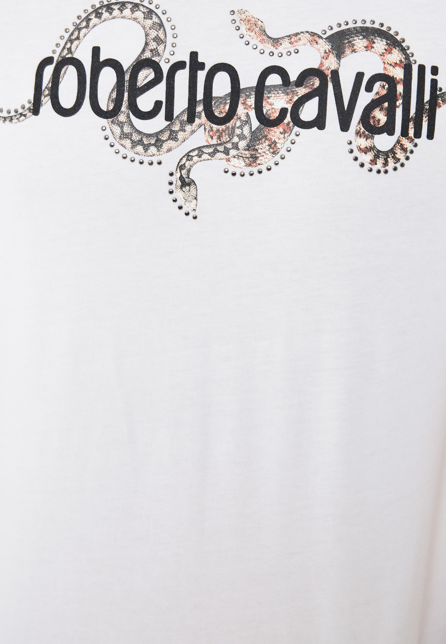 Мужская футболка Roberto Cavalli (Роберто Кавалли) HST63DA270: изображение 5