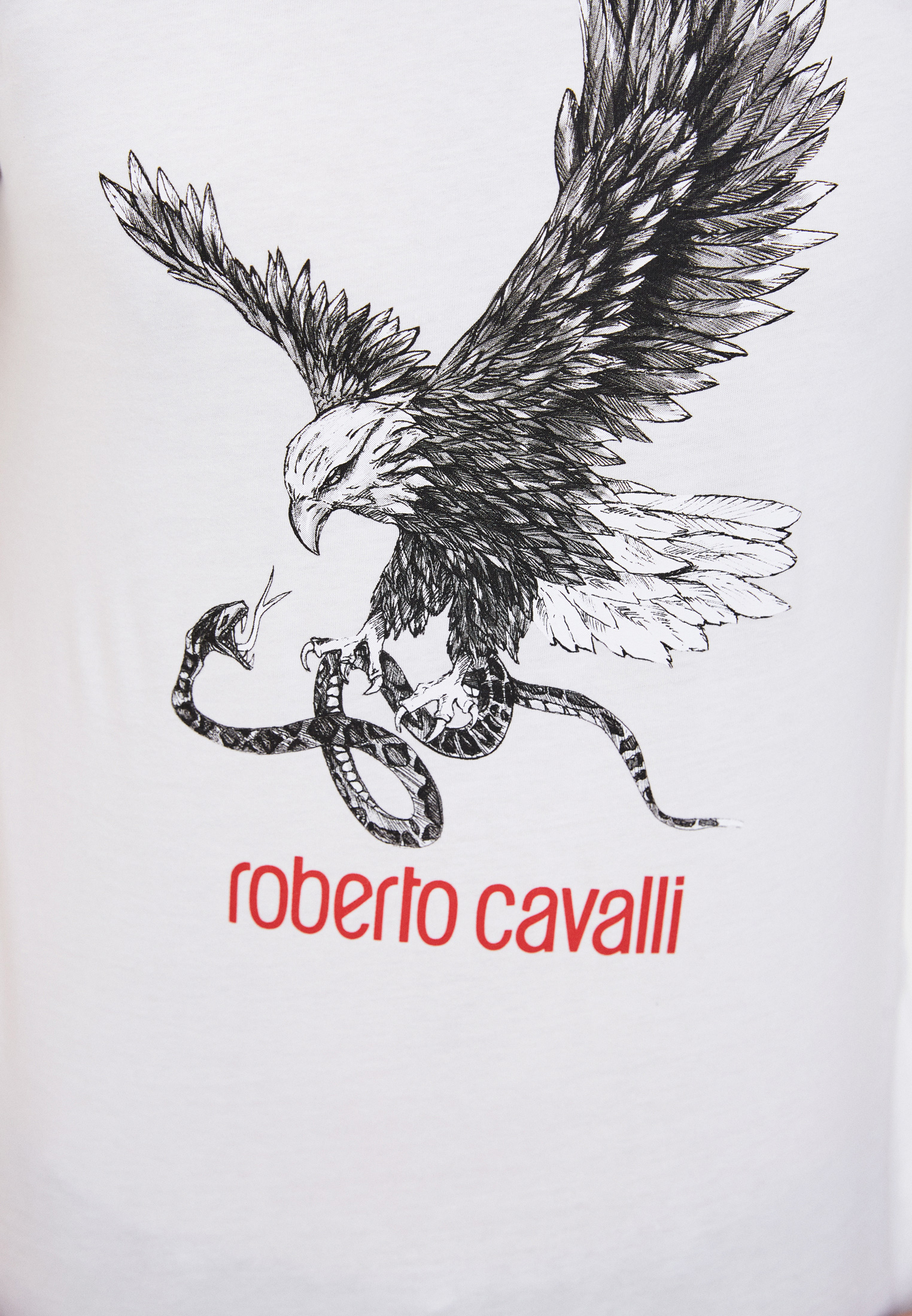 Мужская футболка Roberto Cavalli (Роберто Кавалли) HST65EA270: изображение 5