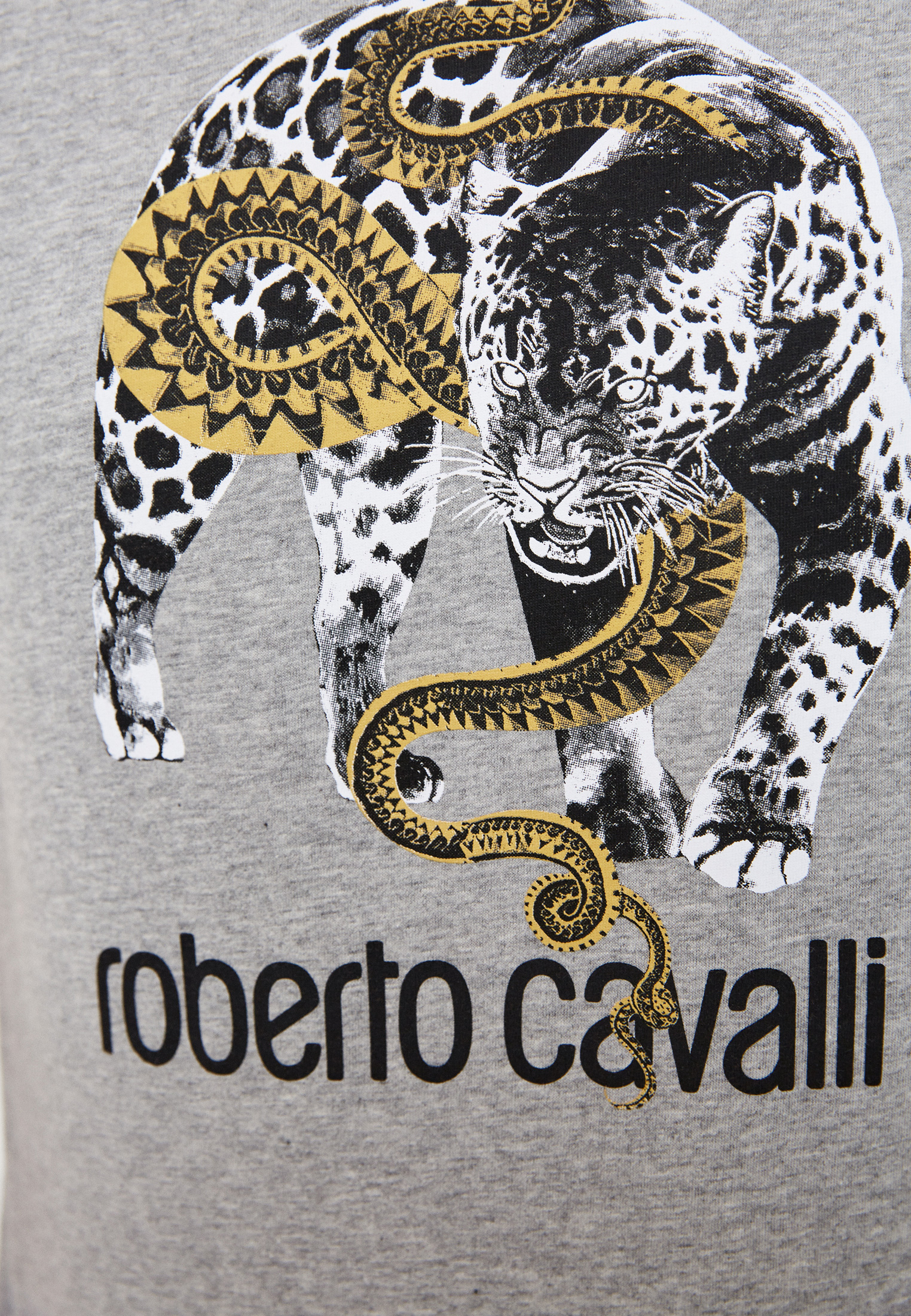 Мужская футболка Roberto Cavalli (Роберто Кавалли) HST67DA270: изображение 5
