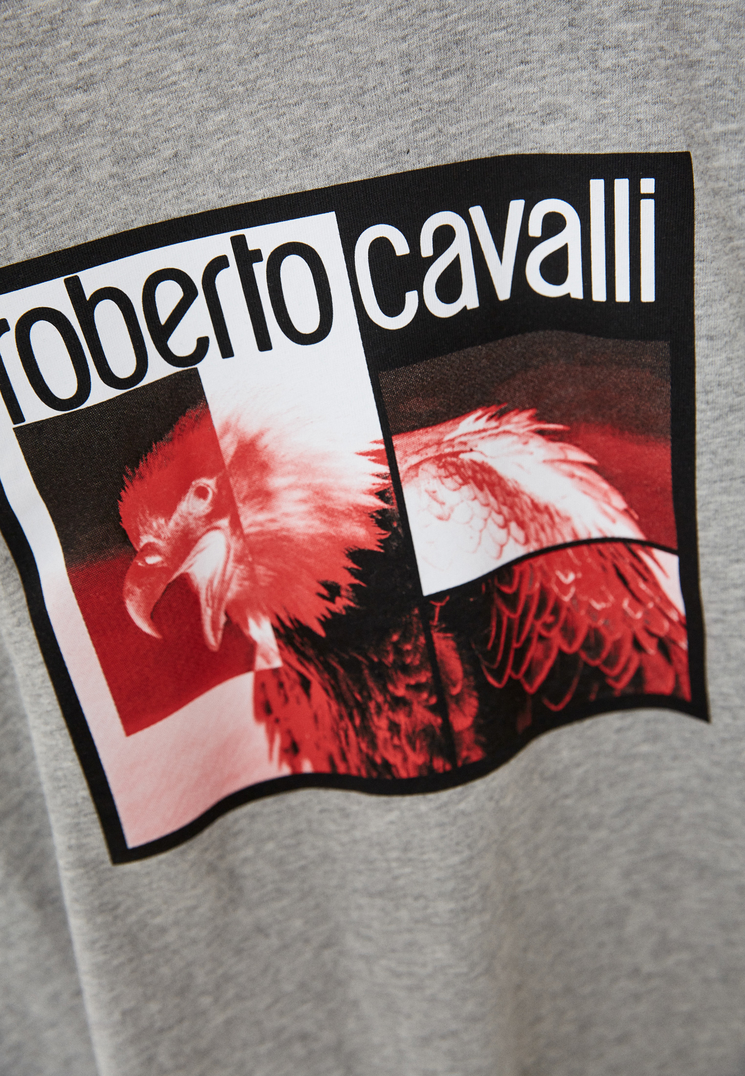 Мужская футболка Roberto Cavalli (Роберто Кавалли) HST68DA270: изображение 5