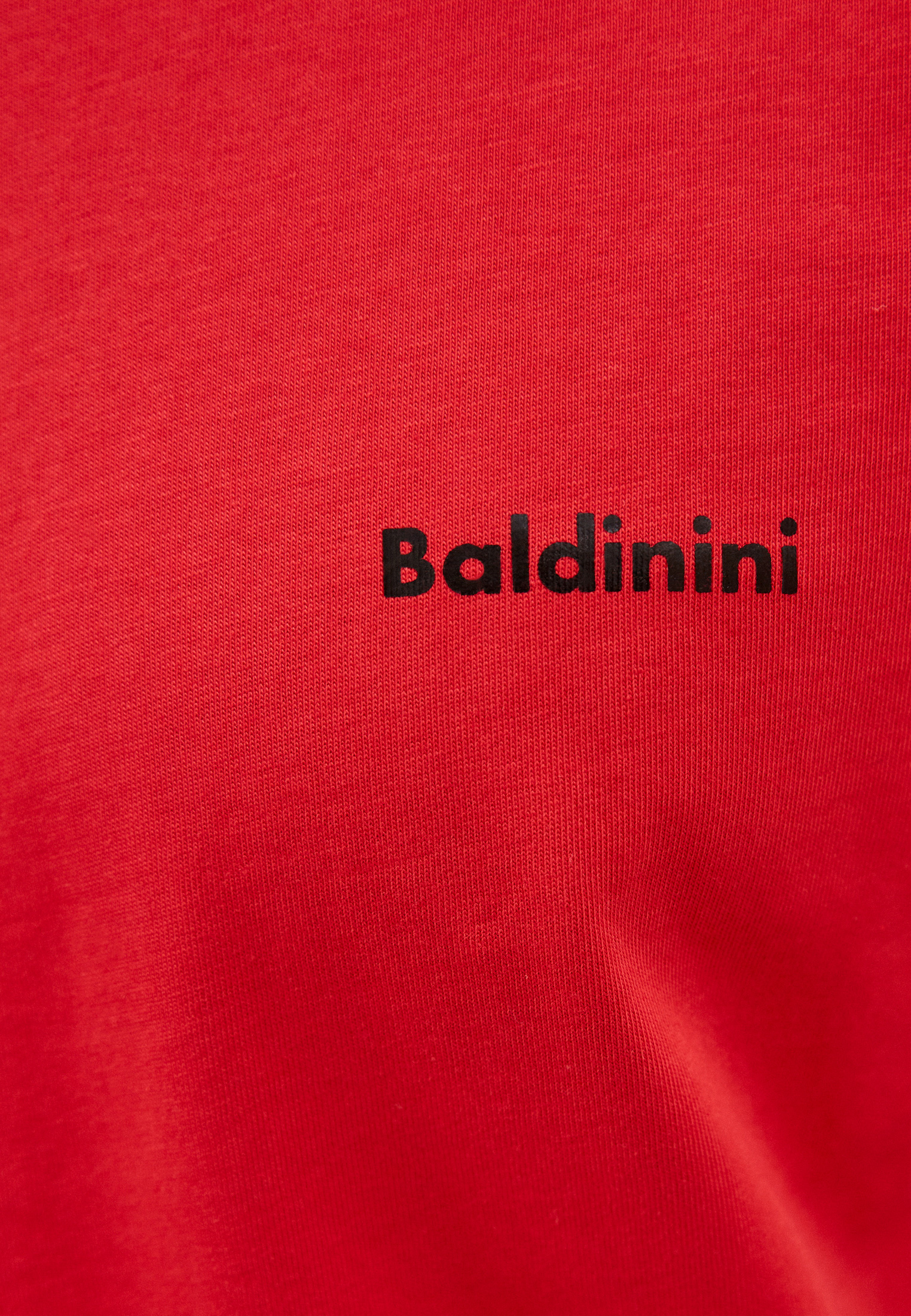 Мужская футболка Baldinini (Балдинини) A1UTS02ATEJ004: изображение 5
