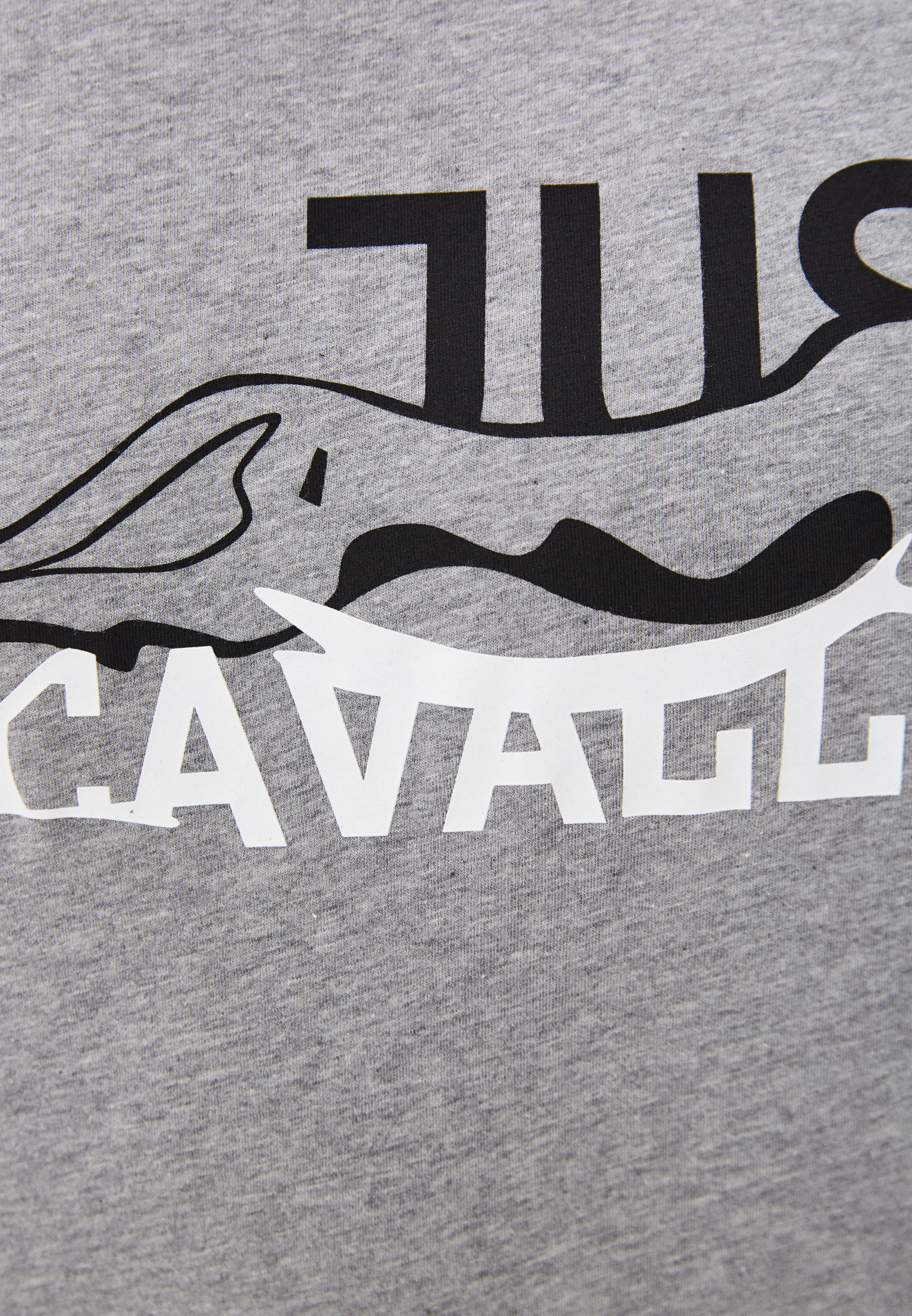Мужская футболка Just Cavalli (Джаст Кавалли) S03GC0555N20663816M: изображение 8