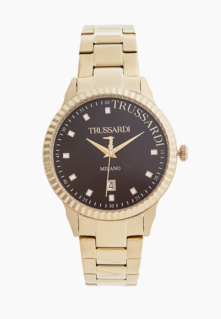 Мужские часы Trussardi (Труссарди) R2453141005: изображение 1