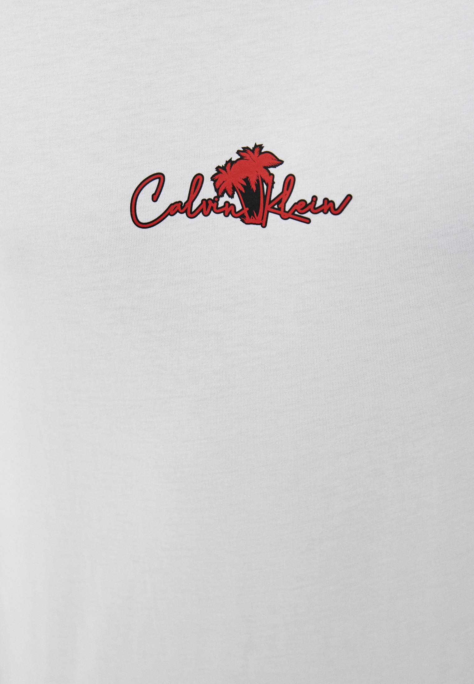 Мужская футболка Calvin Klein (Кельвин Кляйн) K10K107980: изображение 5