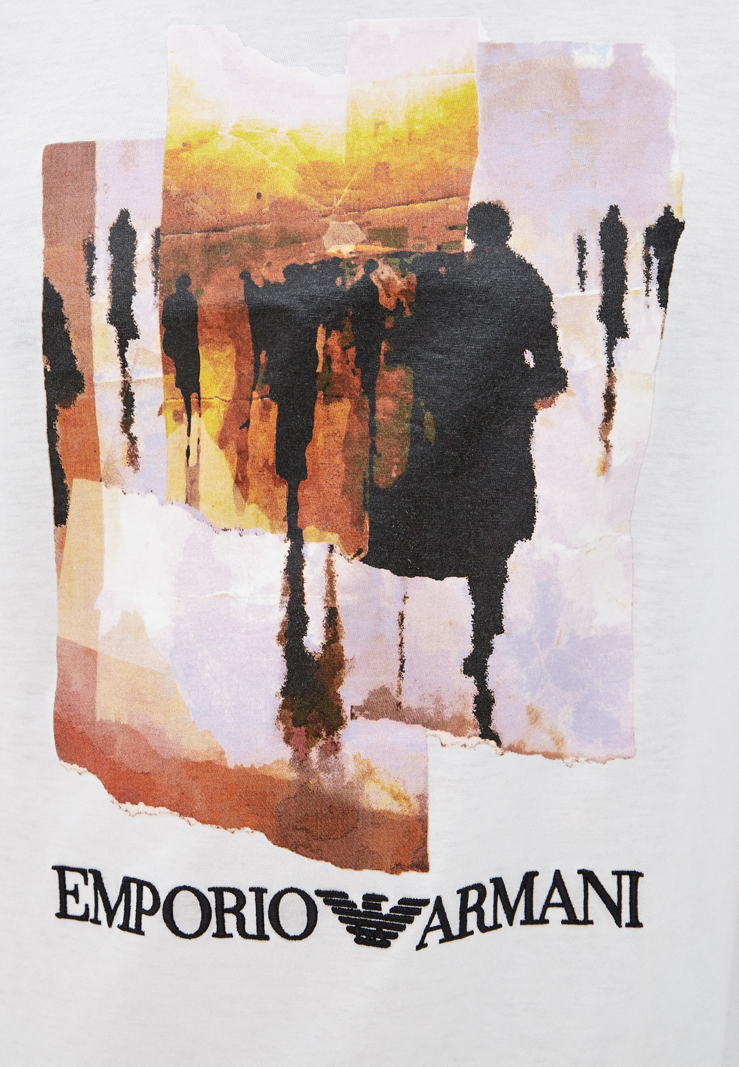 Мужская футболка Emporio Armani (Эмпорио Армани) 6K1T6T 1JQ4Z: изображение 5