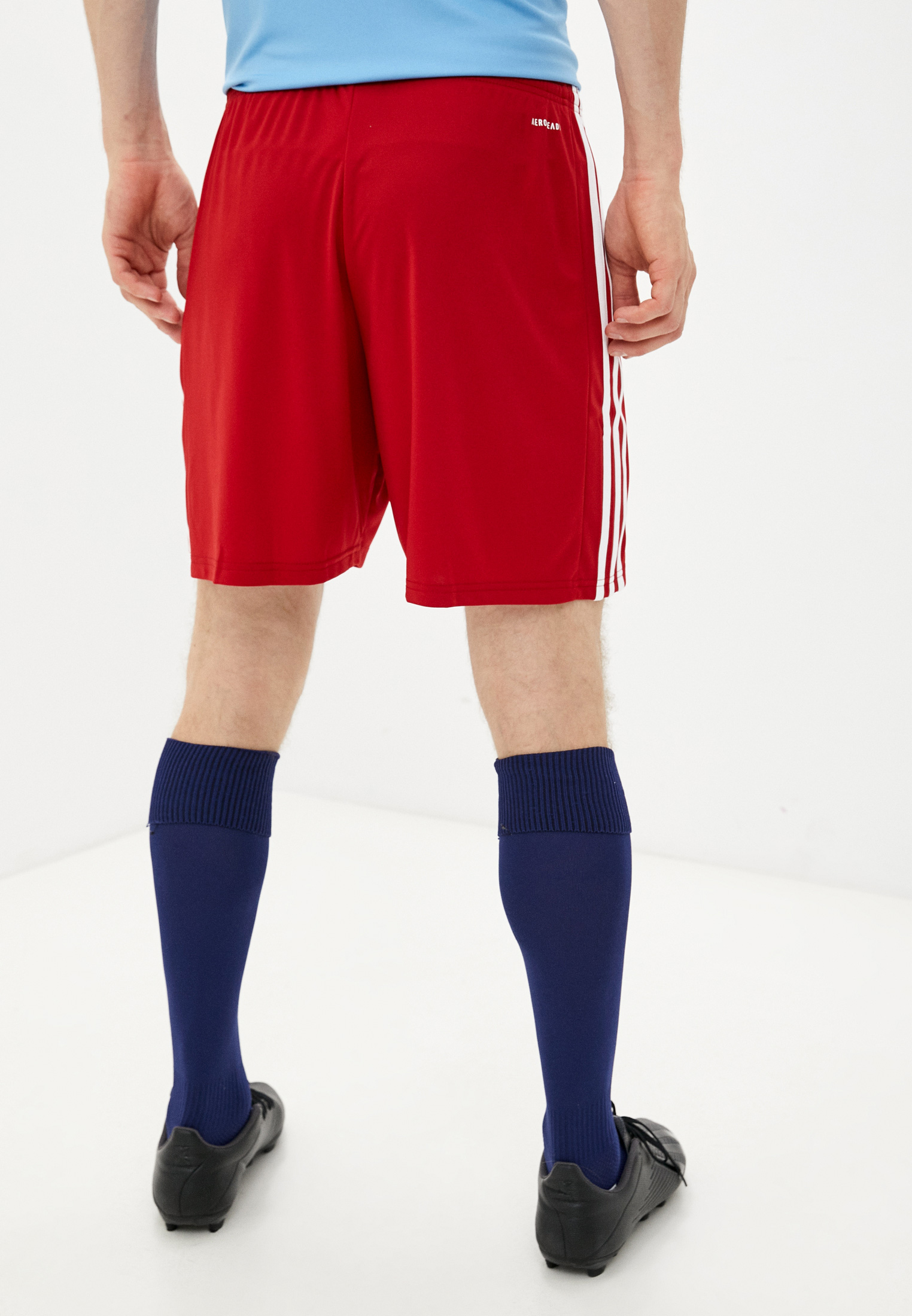 Мужские спортивные шорты Adidas (Адидас) GN5771: изображение 7