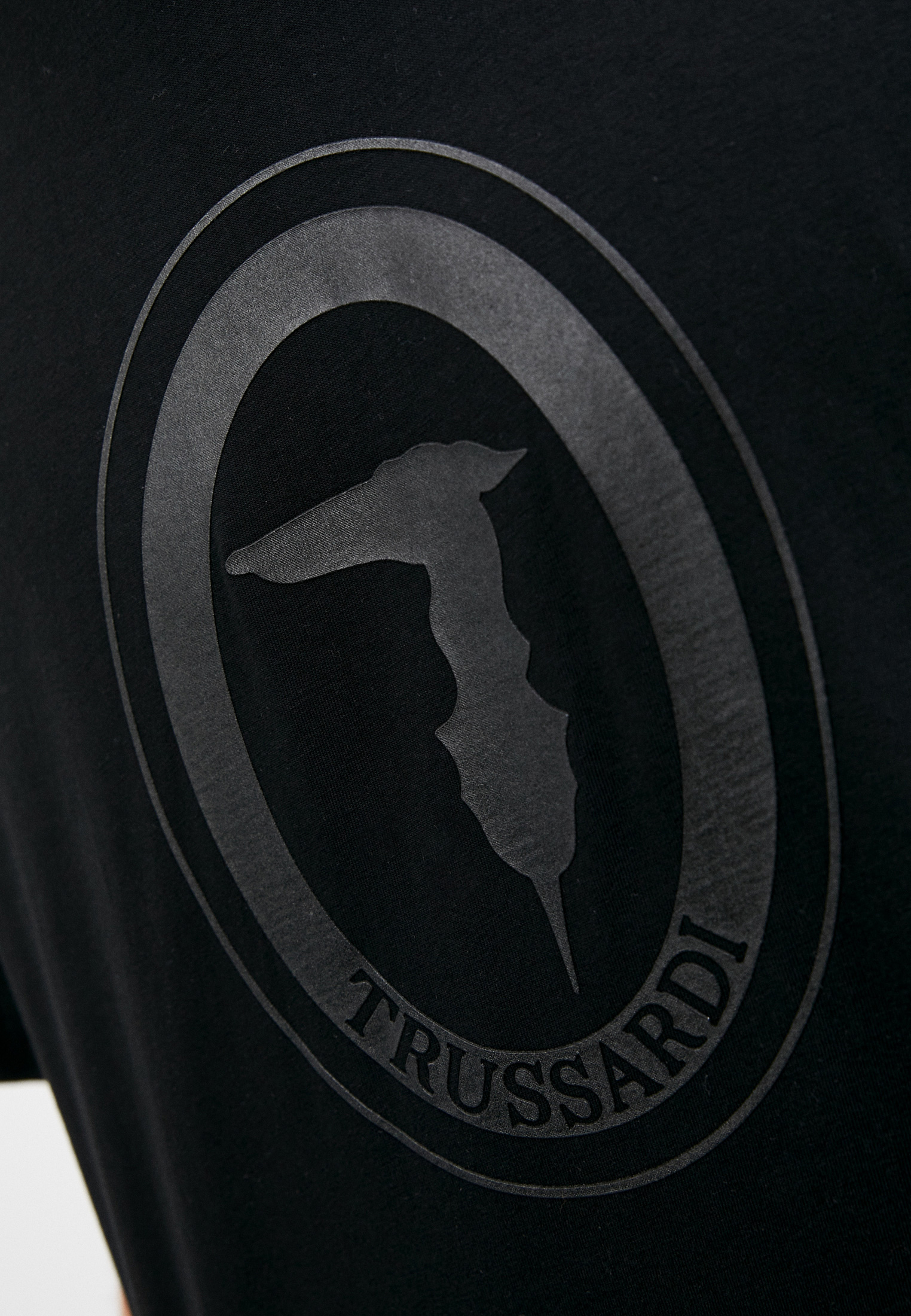 Мужская футболка Trussardi (Труссарди) 52T00539-1T004243: изображение 5