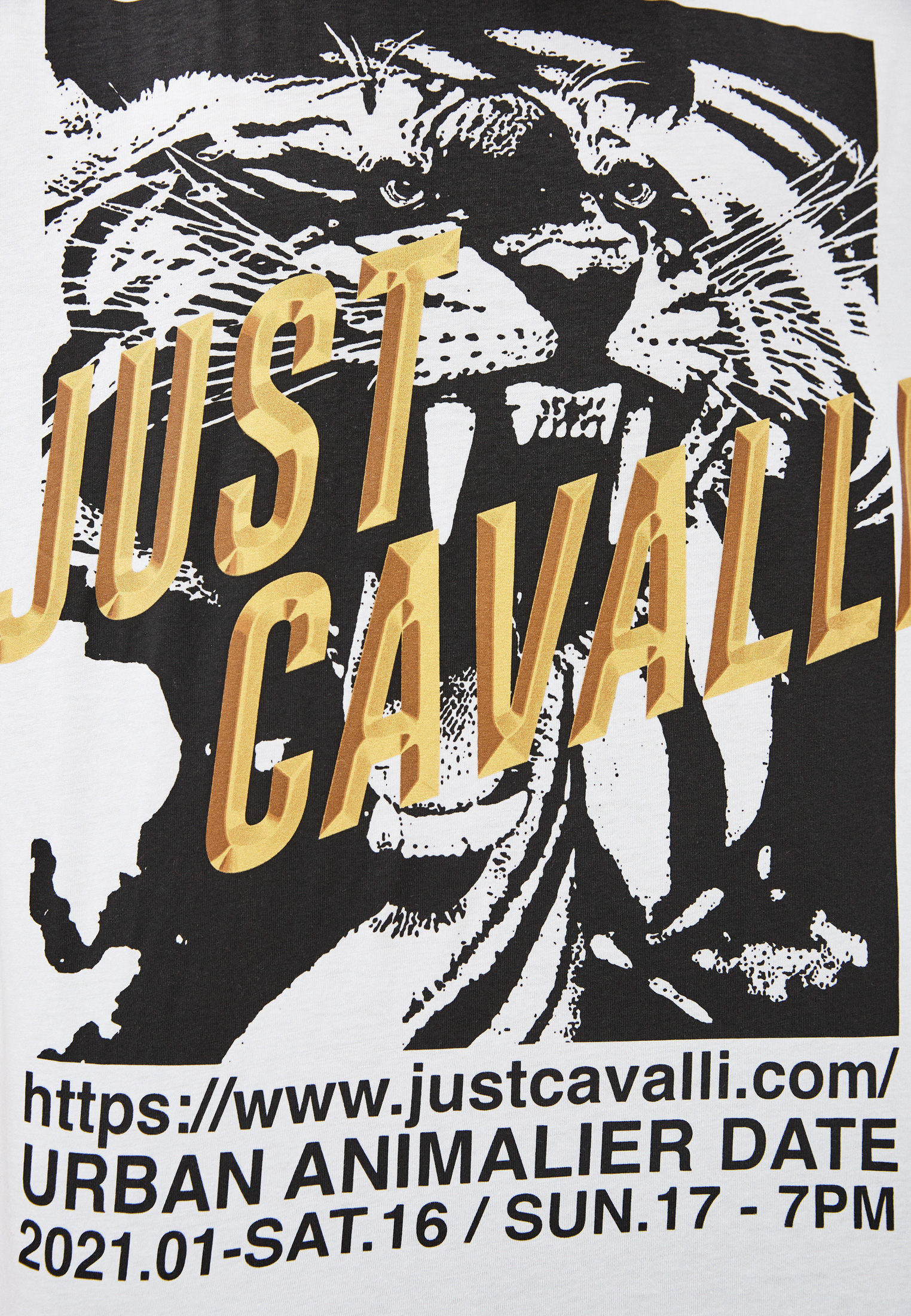 Футболка Just Cavalli (Джаст Кавалли) S03GC0647N20663: изображение 5