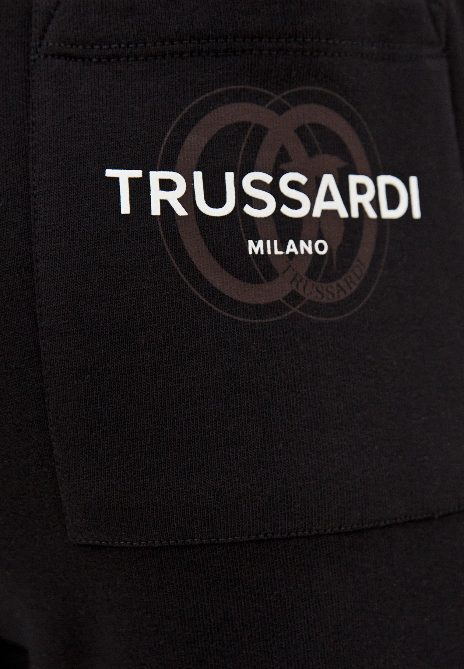 Мужские спортивные брюки Trussardi (Труссарди) 52P00206-1T005460: изображение 5