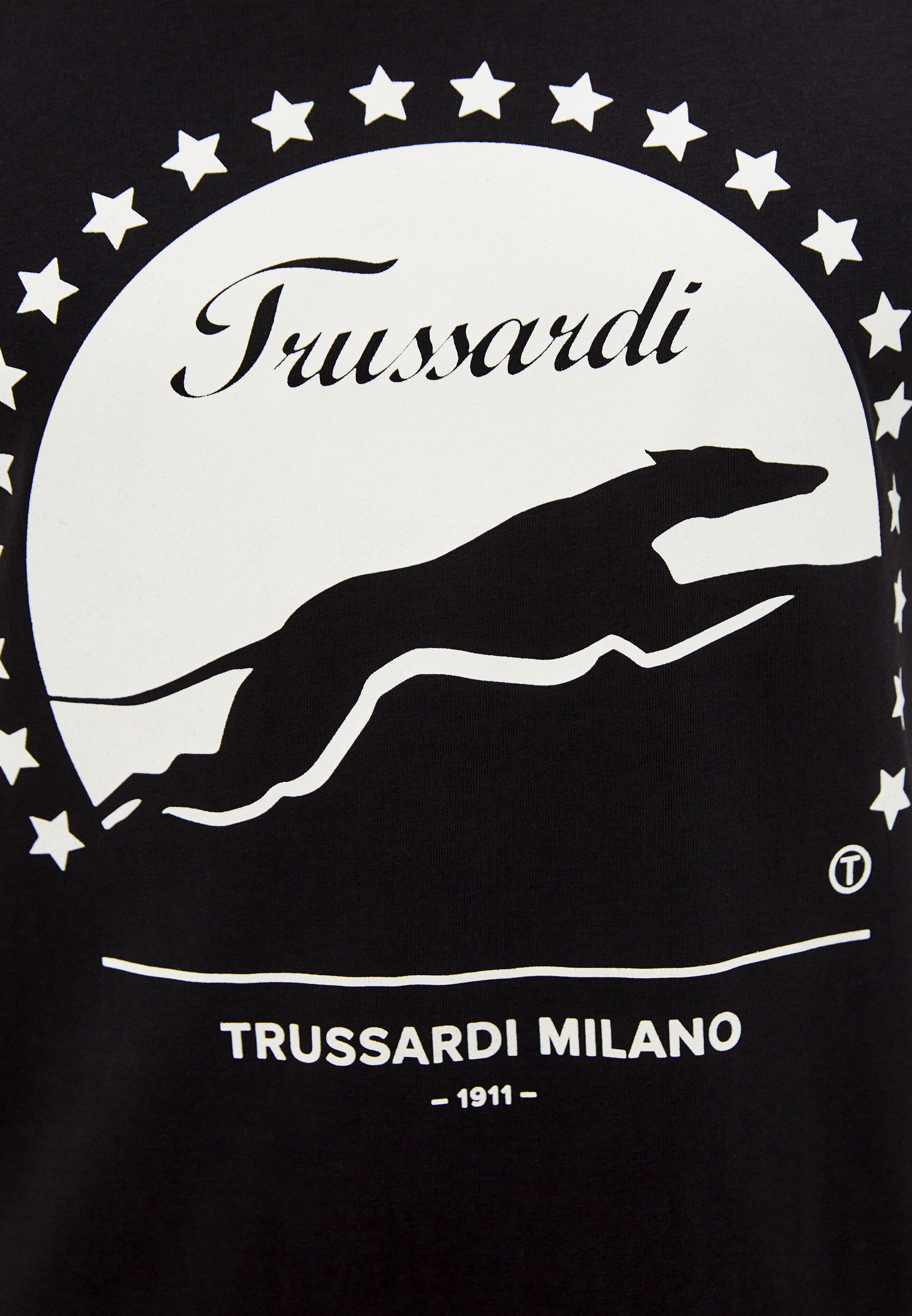 Мужская футболка Trussardi (Труссарди) 52T00449-1T005053: изображение 5