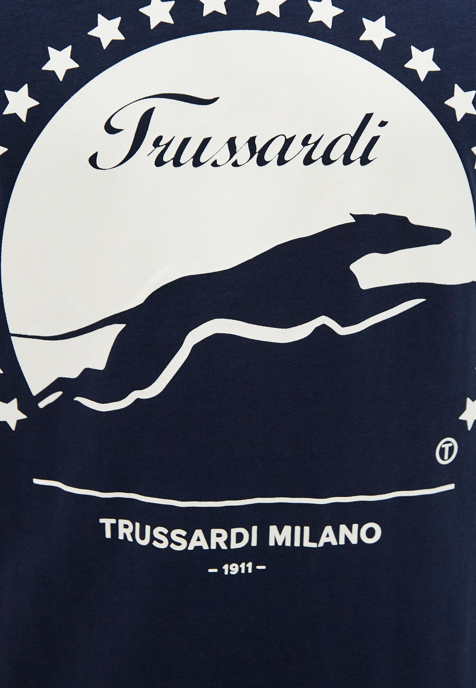 Мужская футболка Trussardi (Труссарди) 52T00449-1T005053: изображение 5