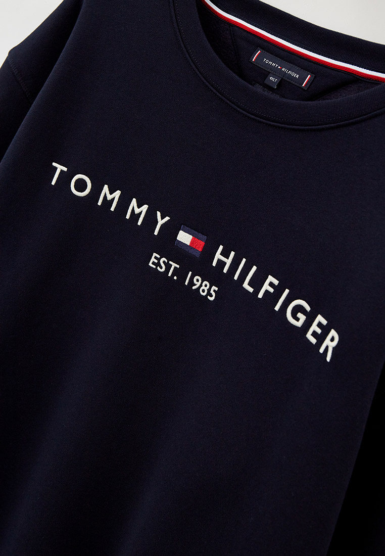 Мужские свитшоты Tommy Hilfiger (Томми Хилфигер) MW0MW12330 купить