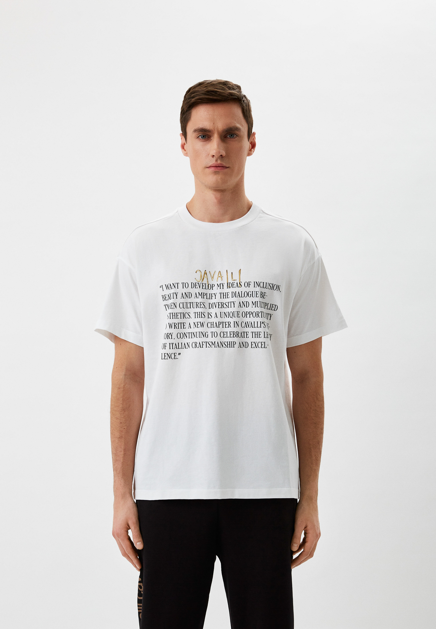 Мужская футболка Roberto Cavalli (Роберто Кавалли) NNT61C-JD060: изображение 1