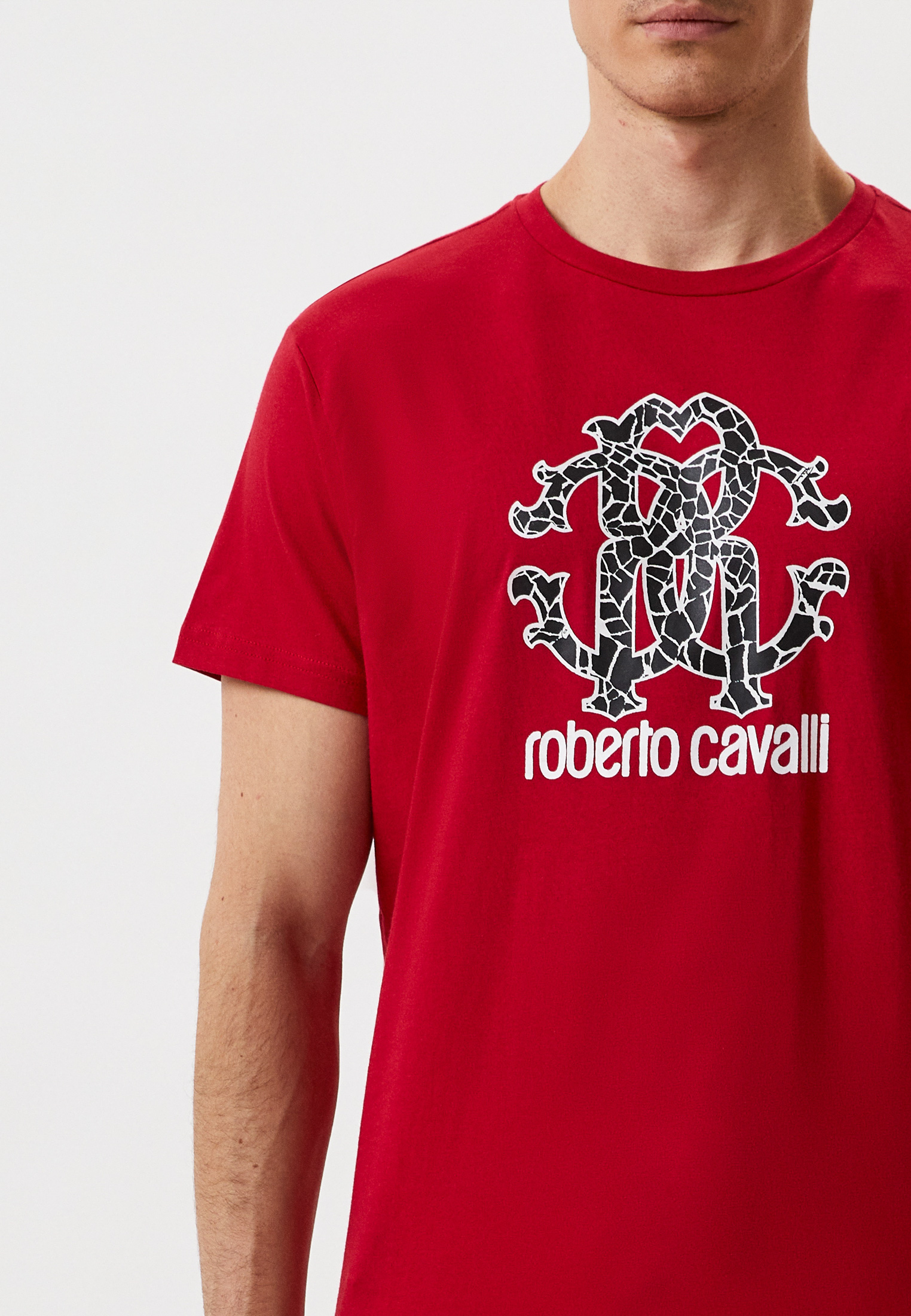 Мужская футболка Roberto Cavalli (Роберто Кавалли) HSH00T: изображение 4