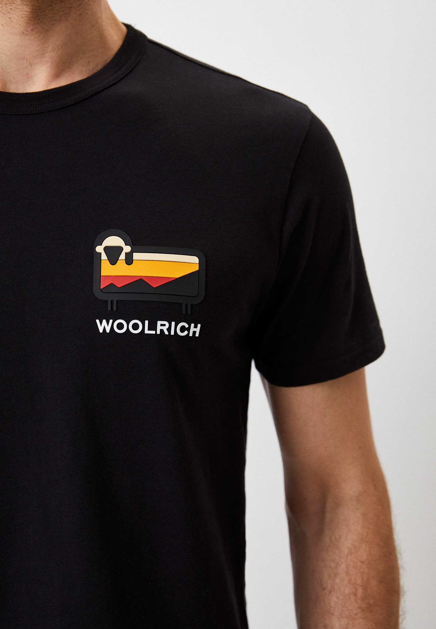 Мужская футболка Woolrich (Вулрич) CFWOTE0062MRUT2926: изображение 4