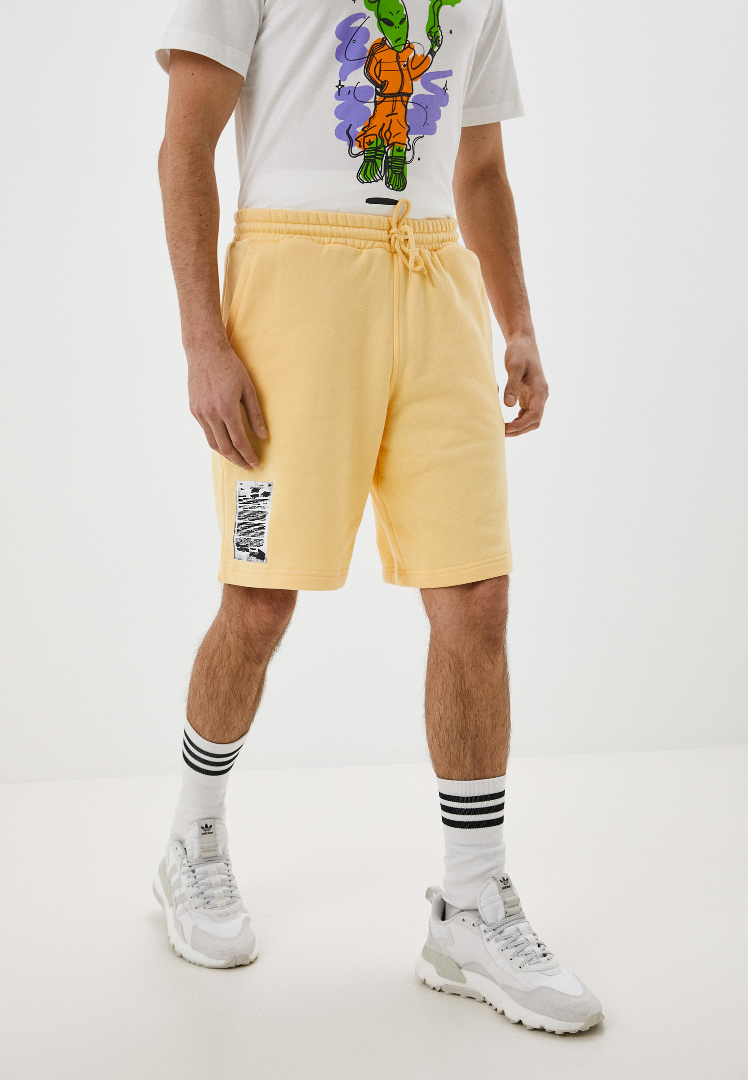 Мужские спортивные шорты Adidas Originals (Адидас Ориджиналс) HC9468