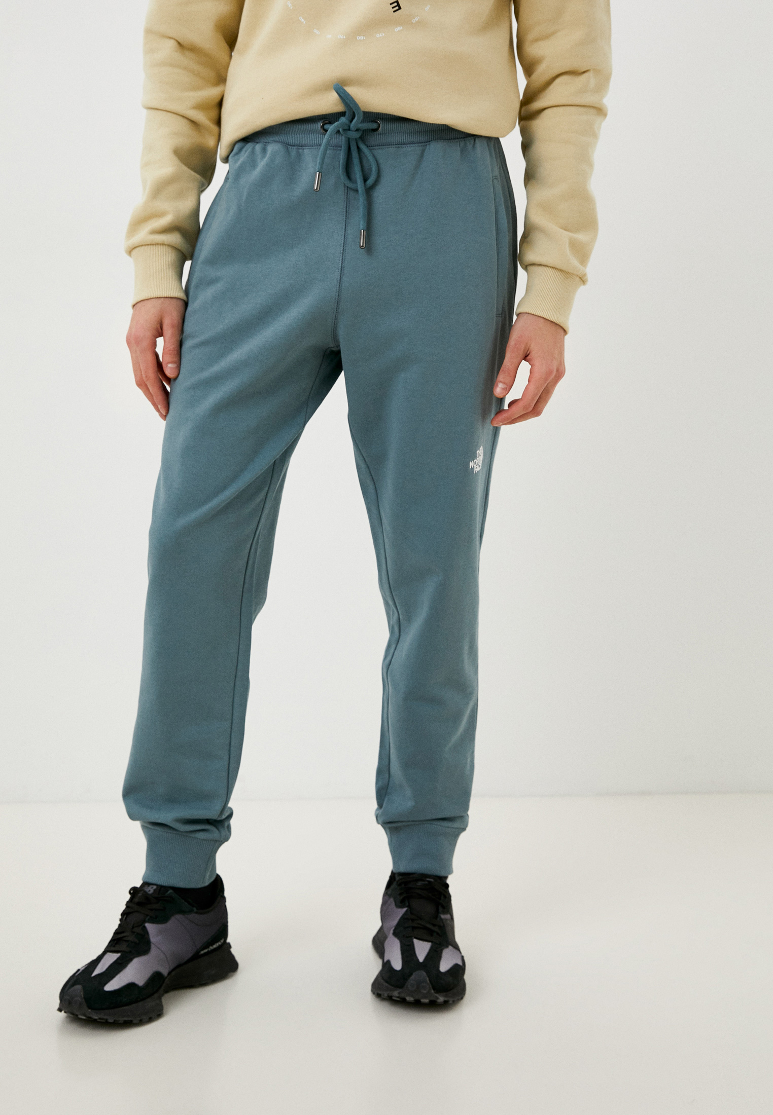 Мужские спортивные брюки The North Face (Норт Фейс) TA4T1F