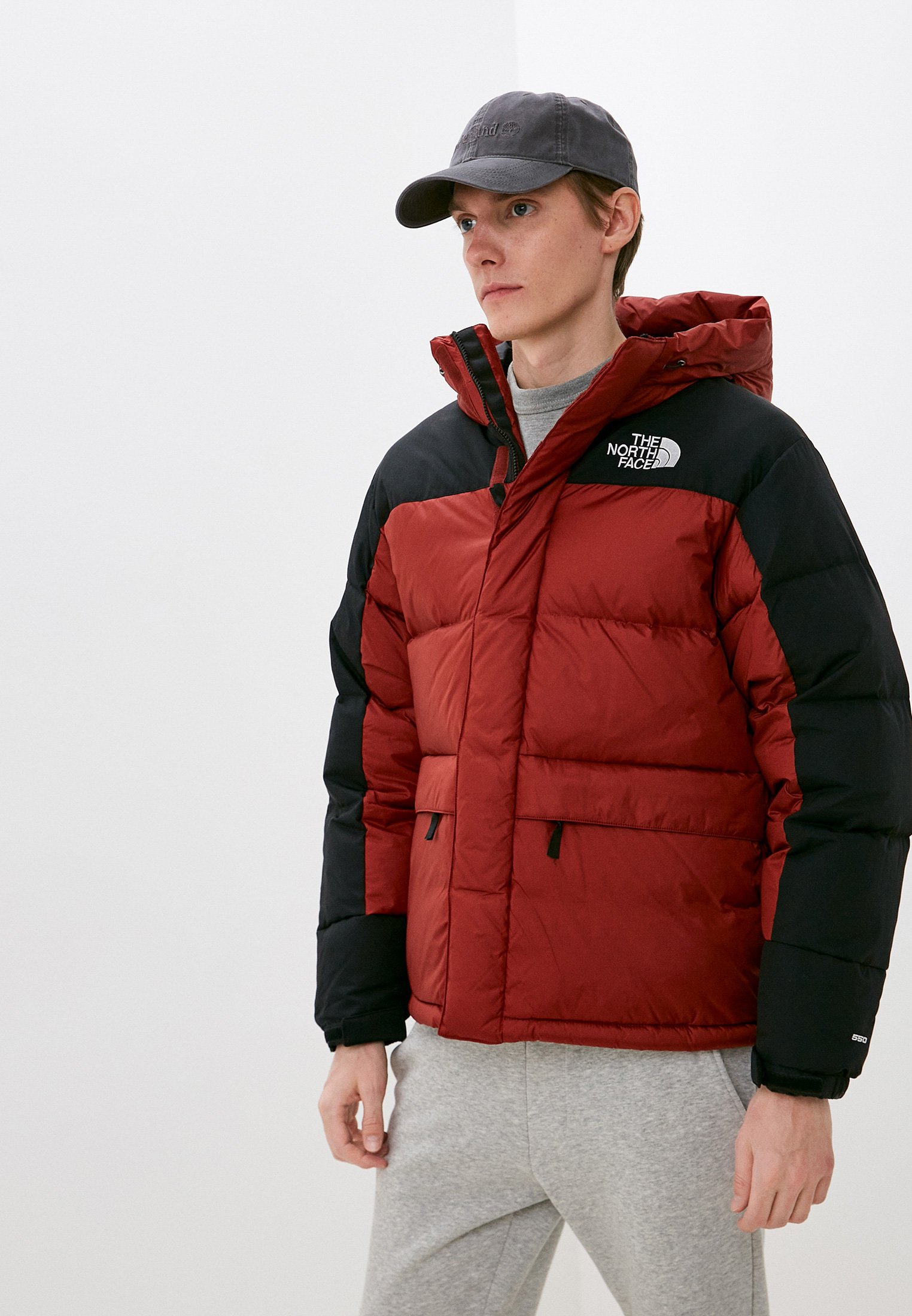 Мужская верхняя одежда The North Face (Зе Норт Фейс) TA4QYX купить