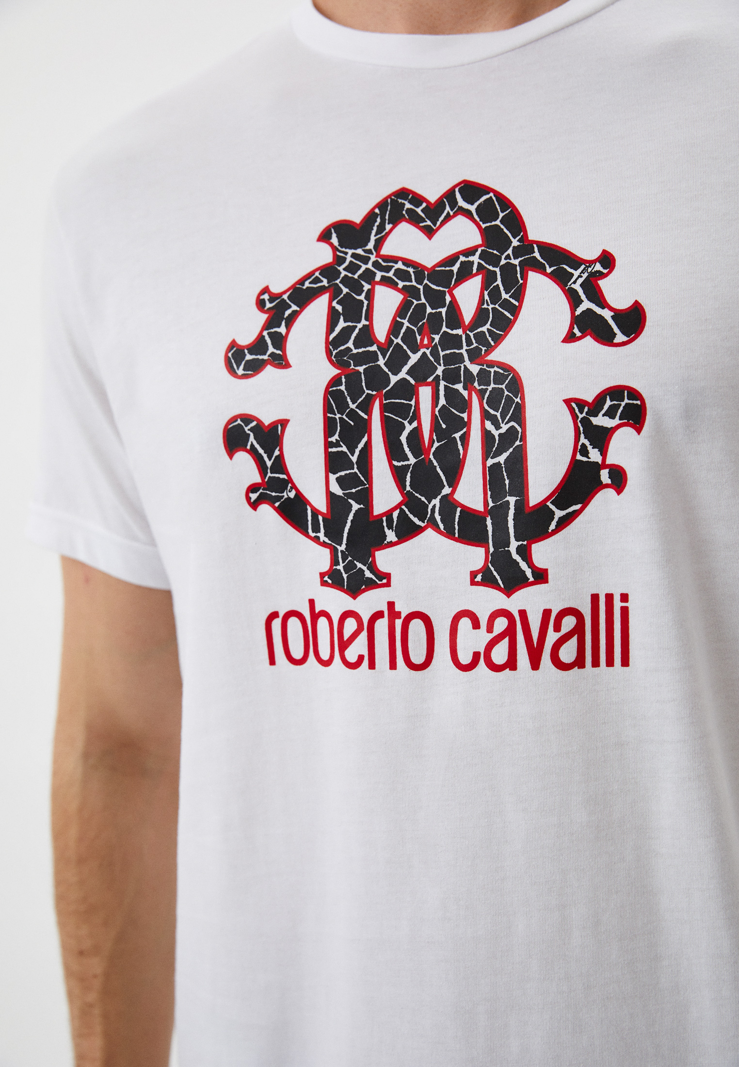 Мужская футболка Roberto Cavalli (Роберто Кавалли) HSH00T: изображение 8