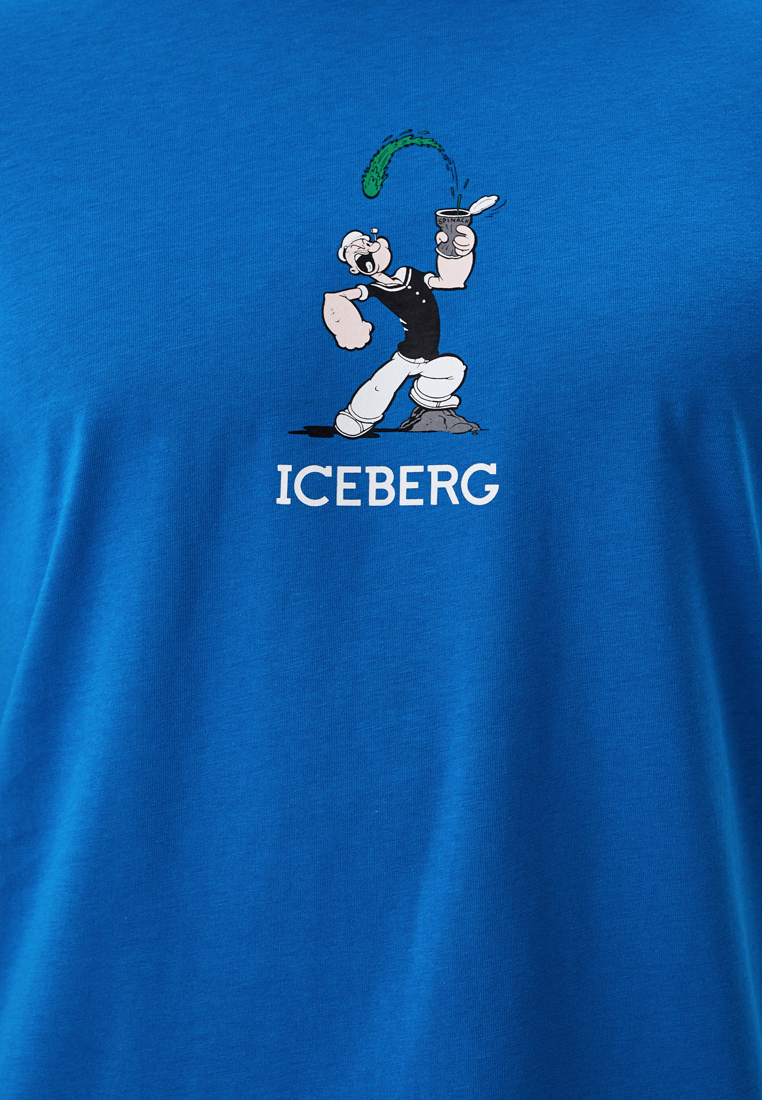 Мужская футболка Iceberg (Айсберг) I1PF0226301: изображение 9