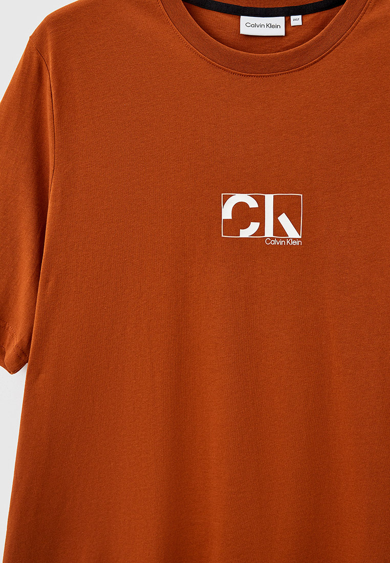 Мужская футболка Calvin Klein (Кельвин Кляйн) K10K110495: изображение 3
