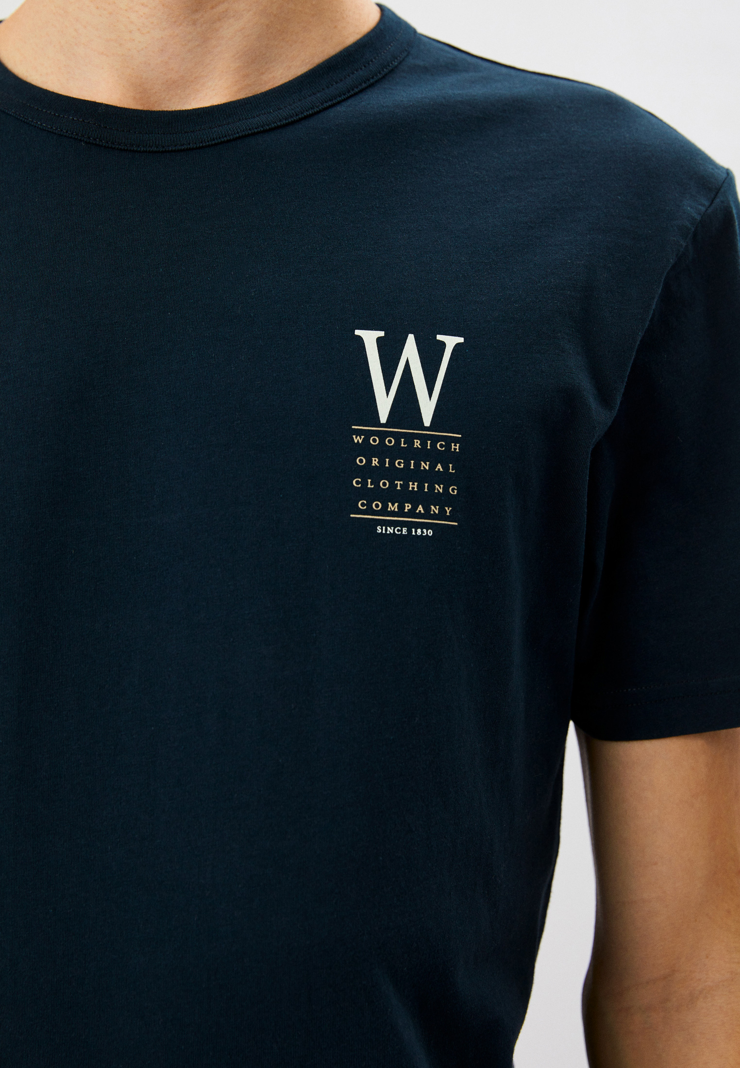 Мужская футболка Woolrich (Вулрич) CFWOTE0097MRUT2926: изображение 4