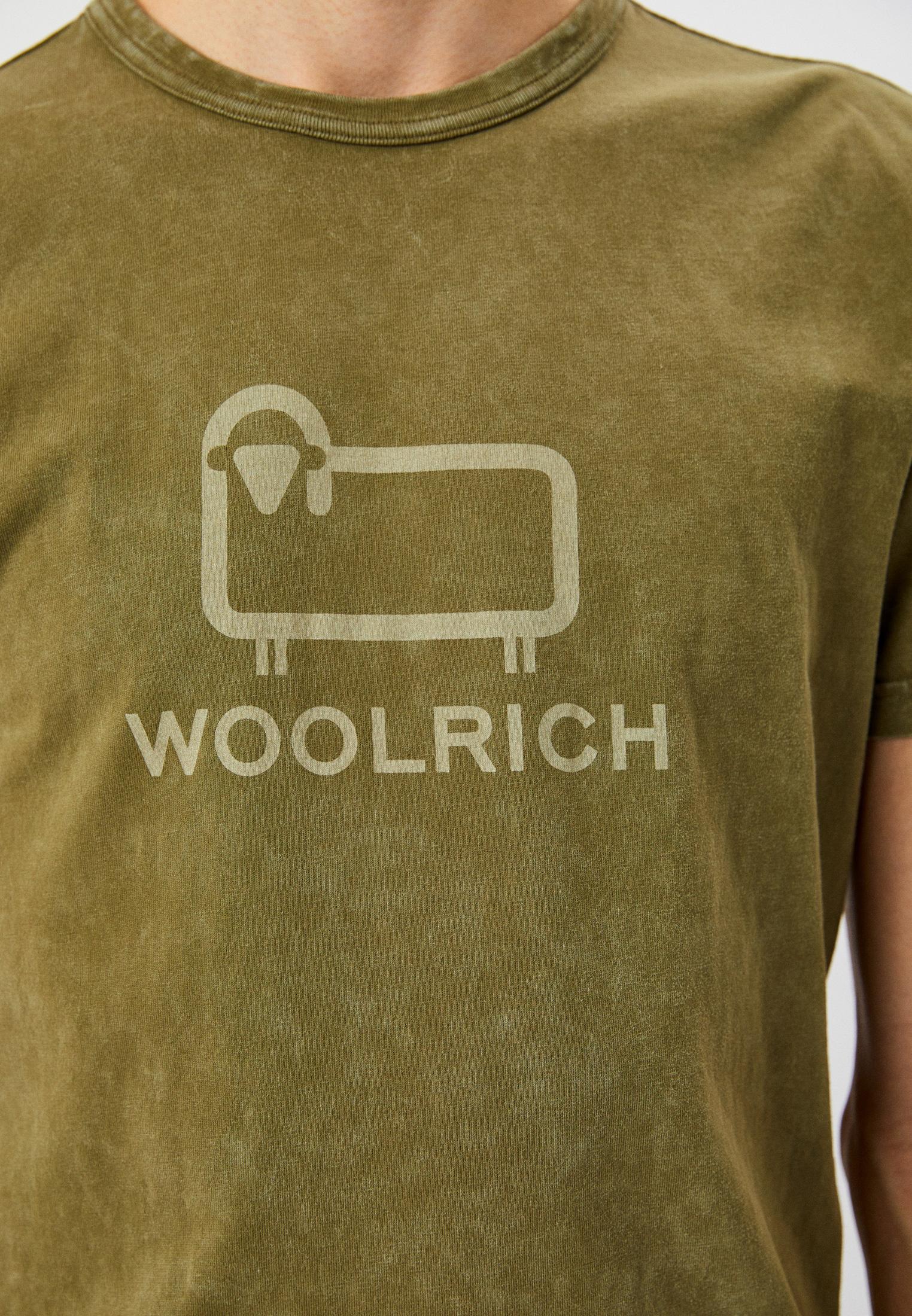 Мужская футболка Woolrich (Вулрич) CFWOTE0096MRUT3369: изображение 4