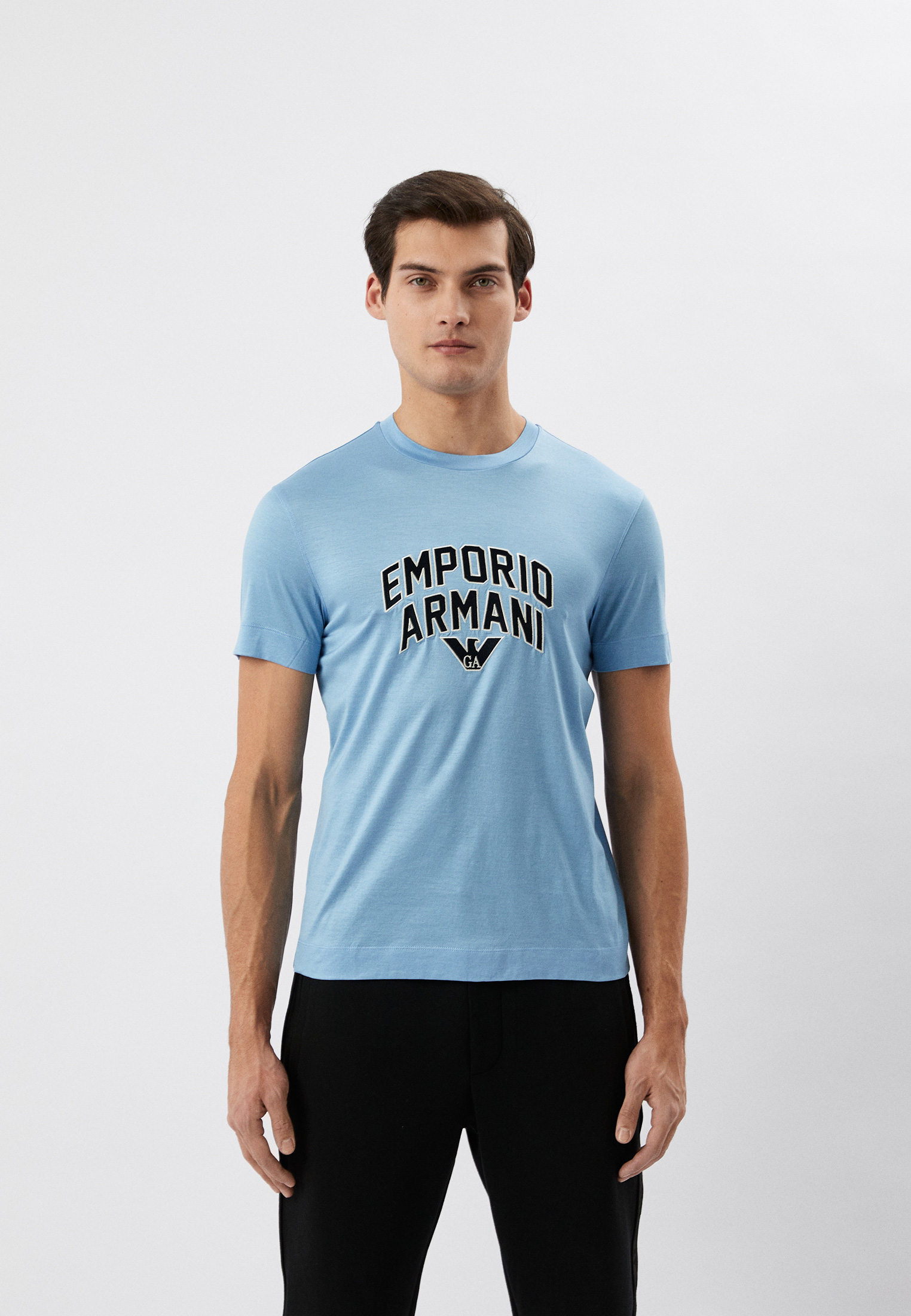 Мужская футболка Emporio Armani (Эмпорио Армани) 3R1TBF 1JUVZ: изображение 1