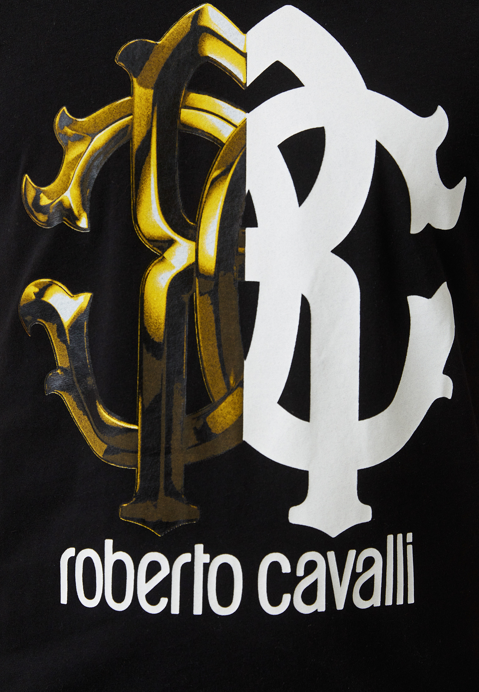 Мужская футболка Roberto Cavalli (Роберто Кавалли) IST61GJD060: изображение 4