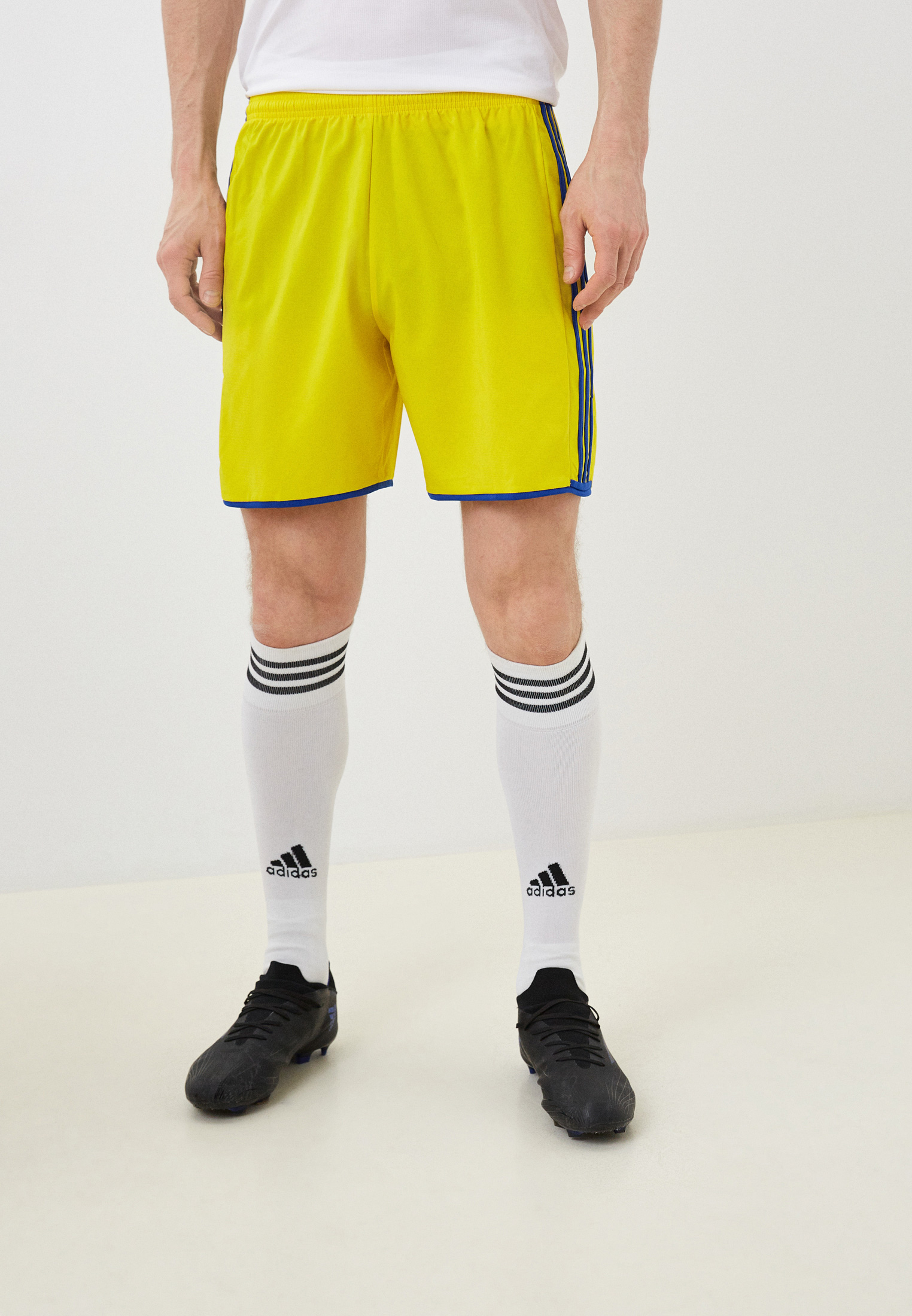Мужские спортивные шорты Adidas (Адидас) AY0110: изображение 1