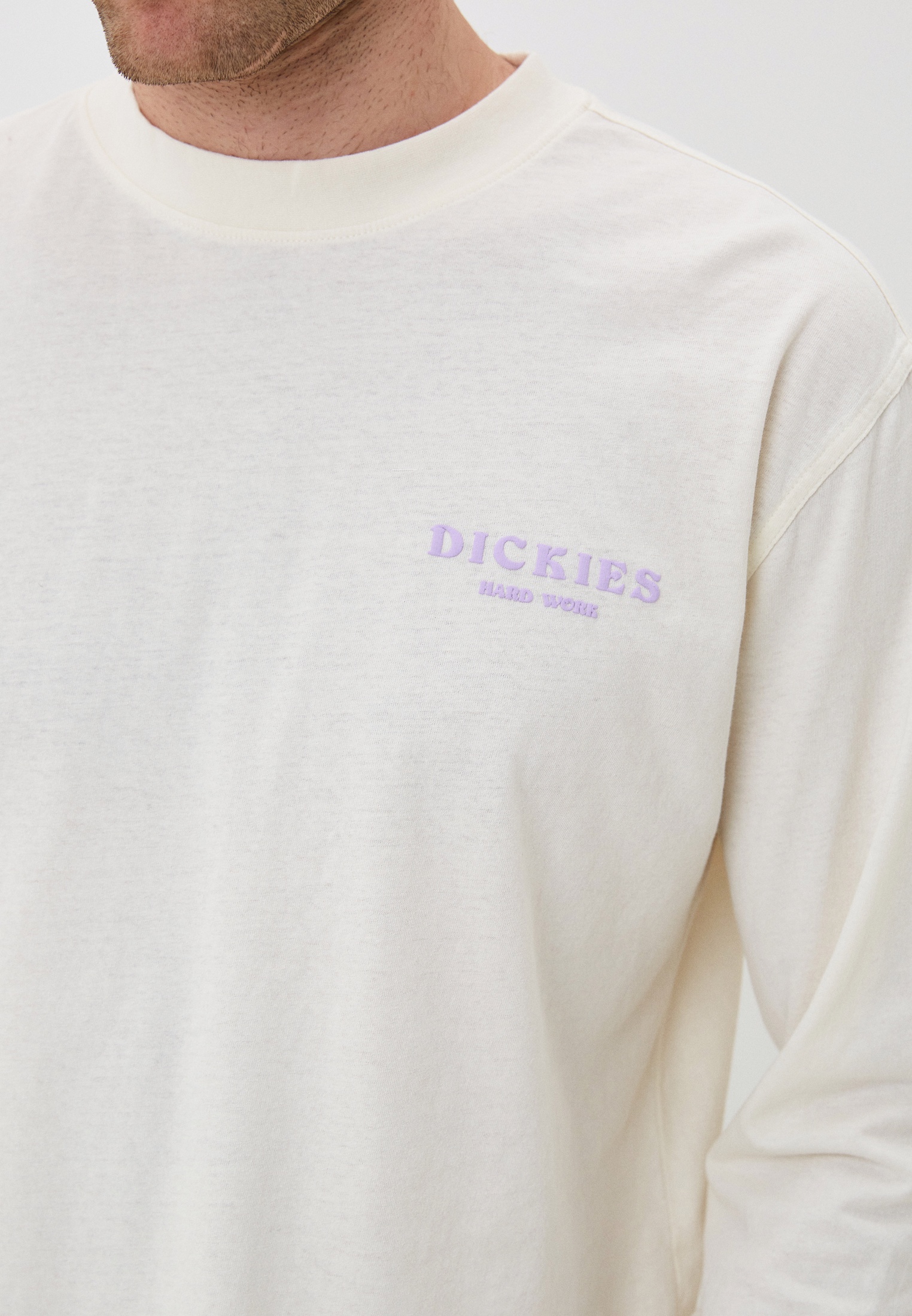 Футболка с длинным рукавом мужской Dickies DK0A4Y8T купить за 4680 руб.