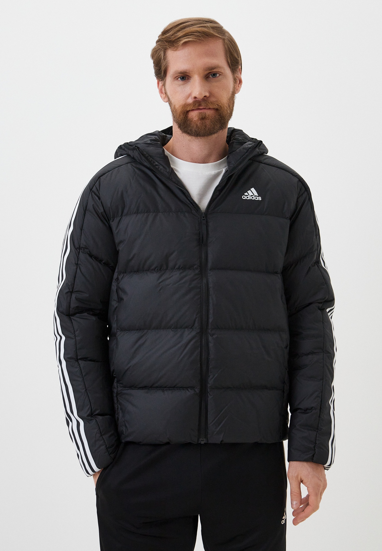 Мужская верхняя одежда Adidas (Адидас) HZ4429: изображение 1