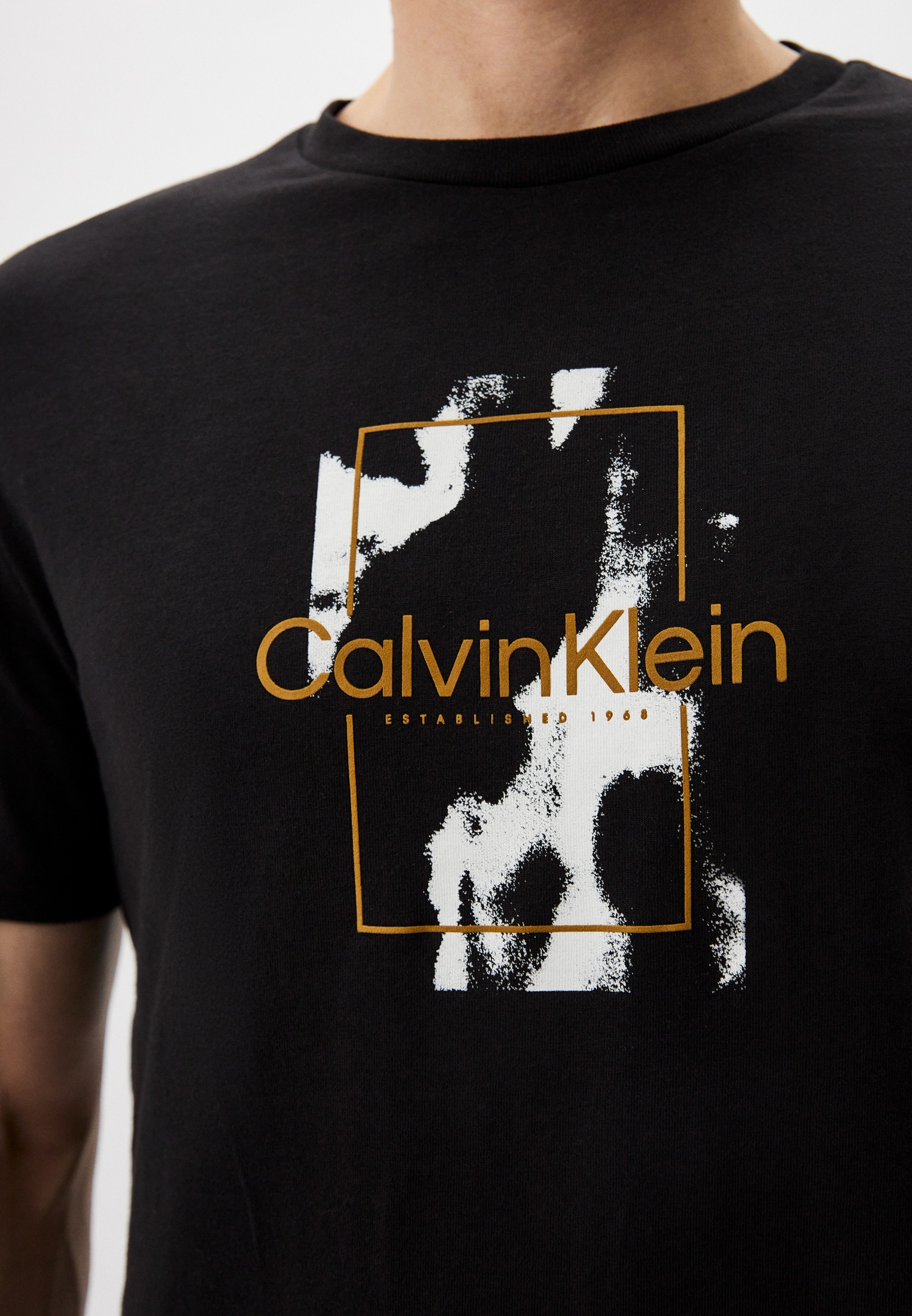 Мужская футболка Calvin Klein (Кельвин Кляйн) K10K112401: изображение 4